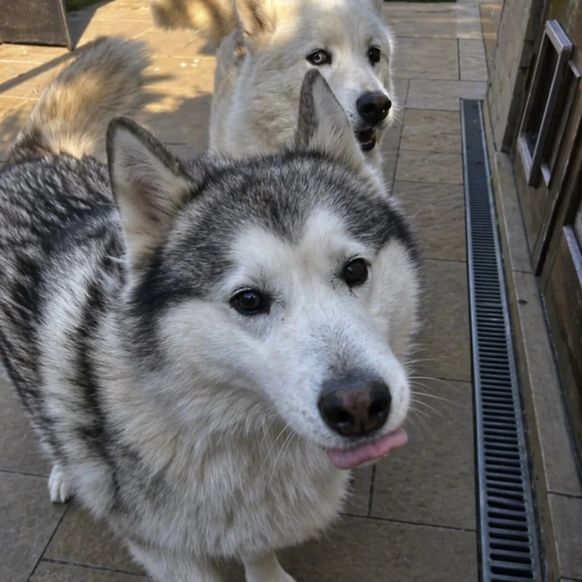 IMG_6161.jpeg
