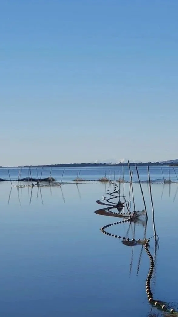 Lac calme avec des piquets en bois et une barrière flottante, reflet dans l'eau, ciel bleu clair.