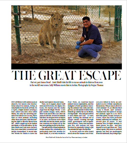 Screen Shot 2019-04-16 at 10.31.40.png