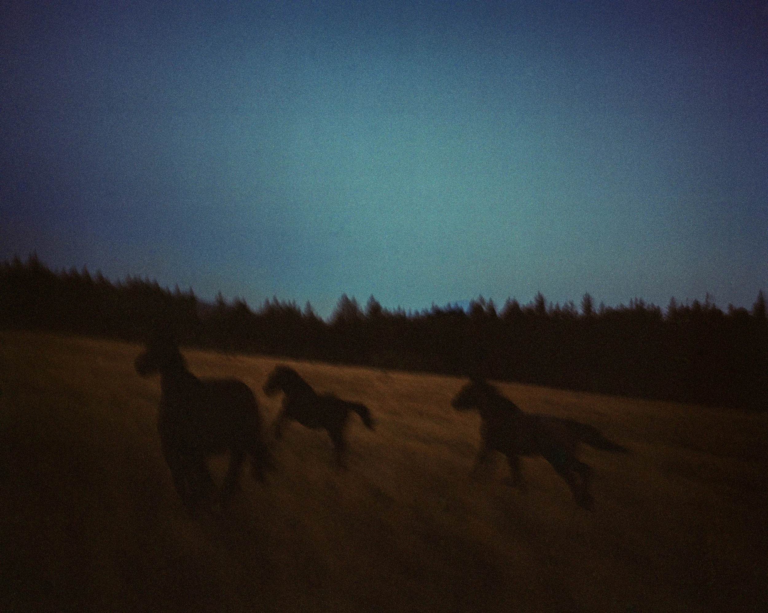 05horses rinning 001 (1).jpg