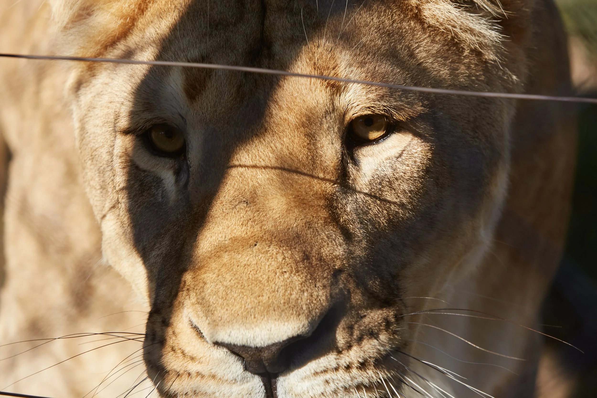 FT_SOUTHAFRICA_2019-1175-o.jpg