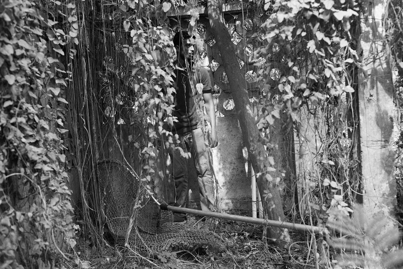 FergusThomas_FourPaws_Myanmar-06497 1.jpg