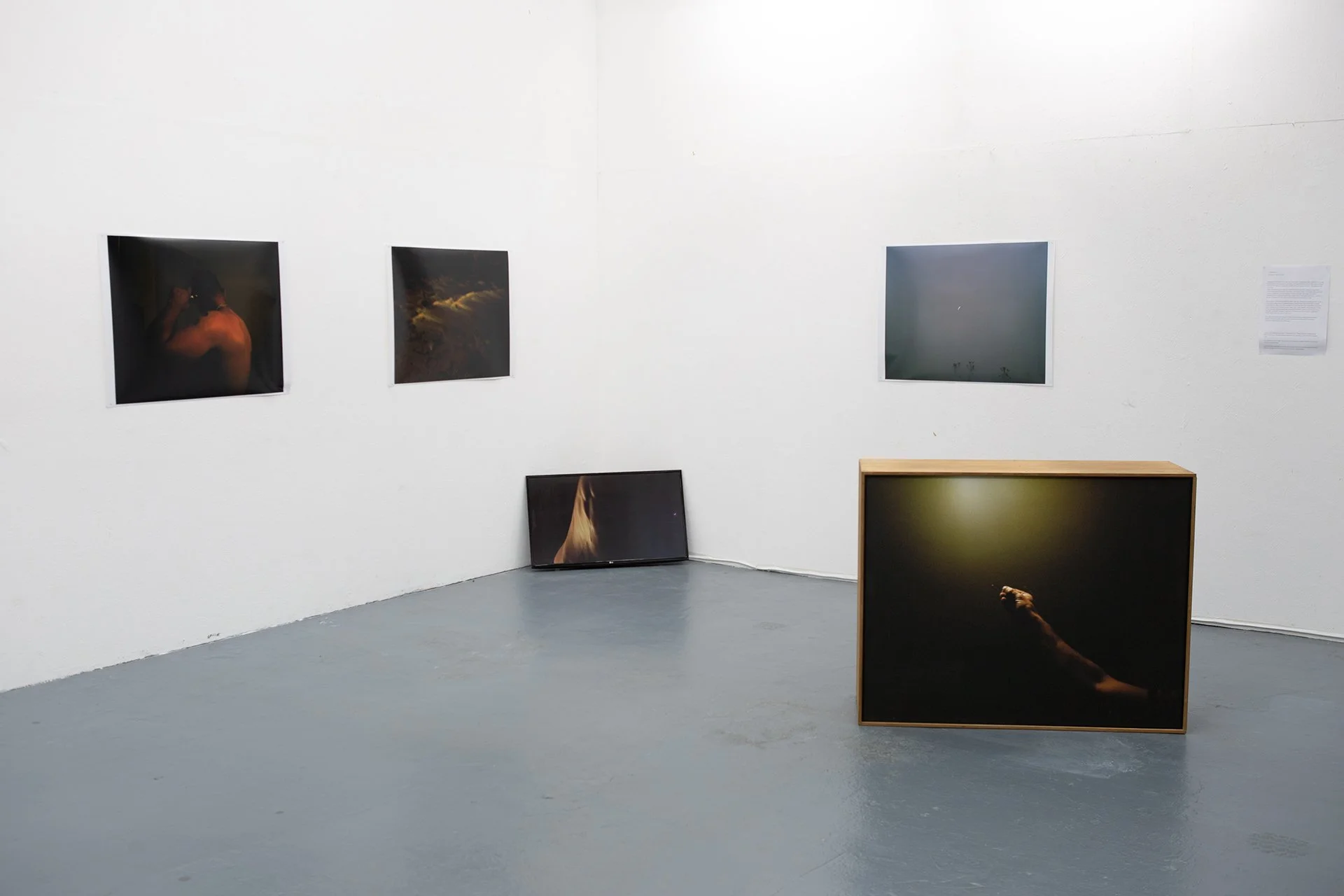 TheFacultyDivine-ii-02 .jpg