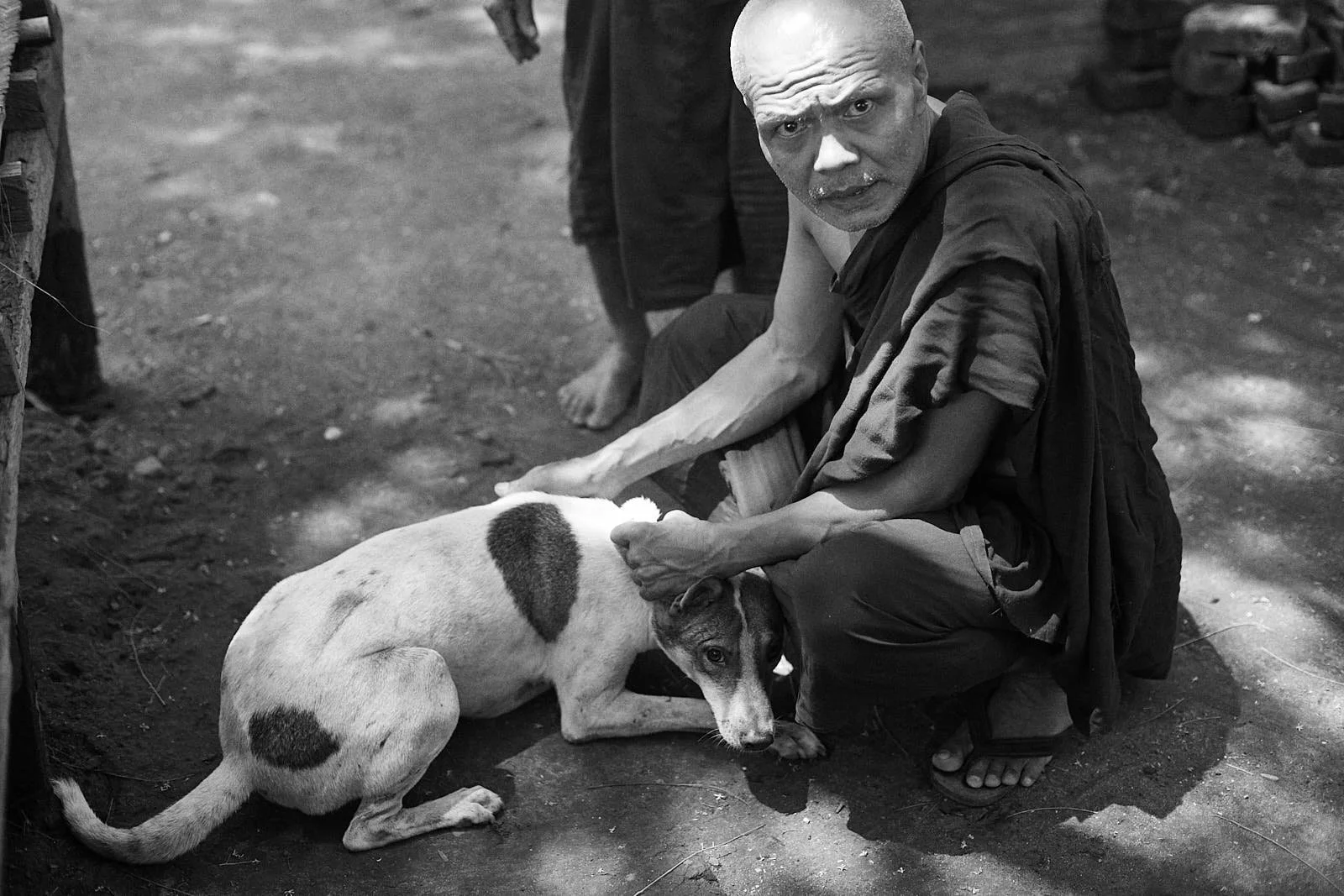FergusThomas_FourPaws_Myanmar-05407.jpg