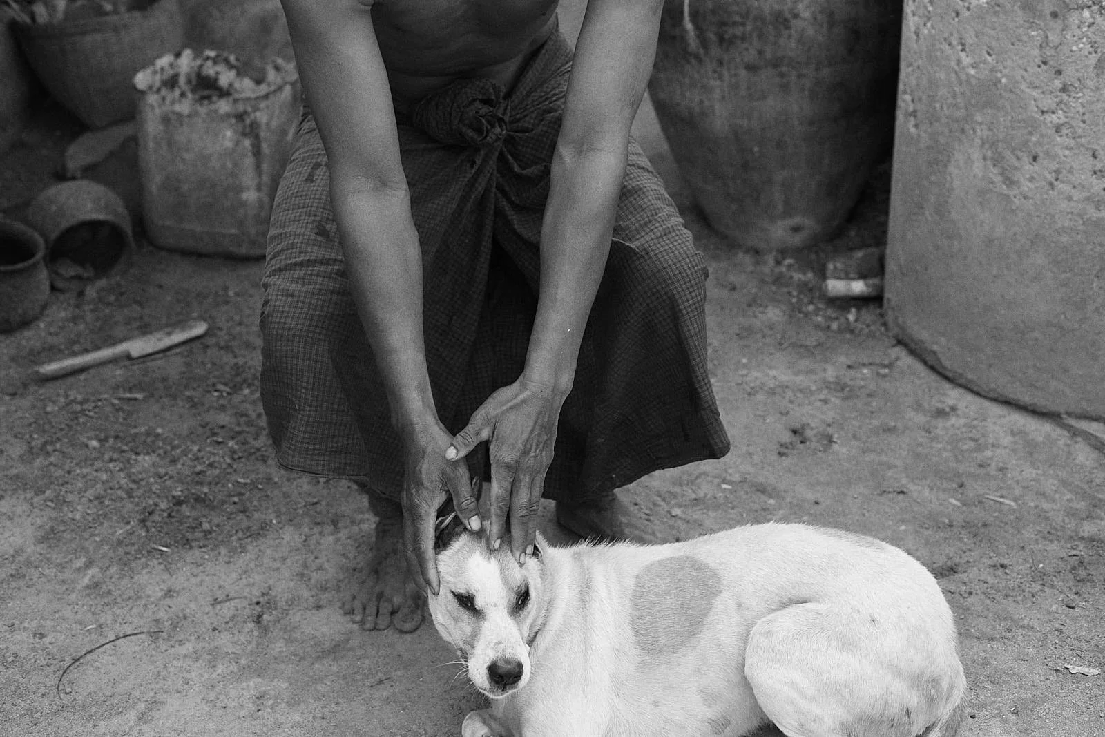 FergusThomas_FourPaws_Myanmar-08300.jpg