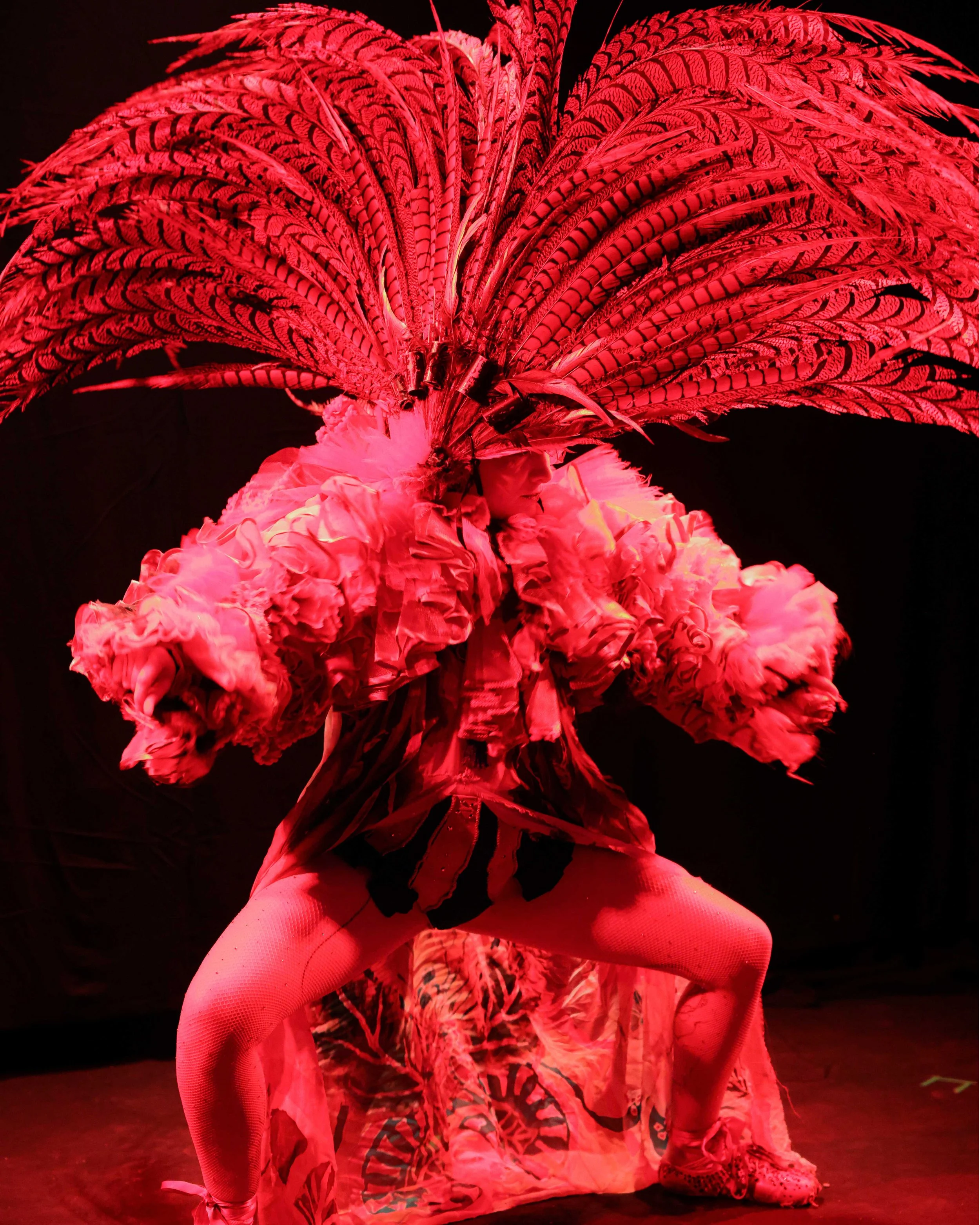 Person in einem farbenfrohen, elaborierten Showkostüm mit großen roten und schwarzen Federn, die wie eine Headdress aussehen, in einer Performance.