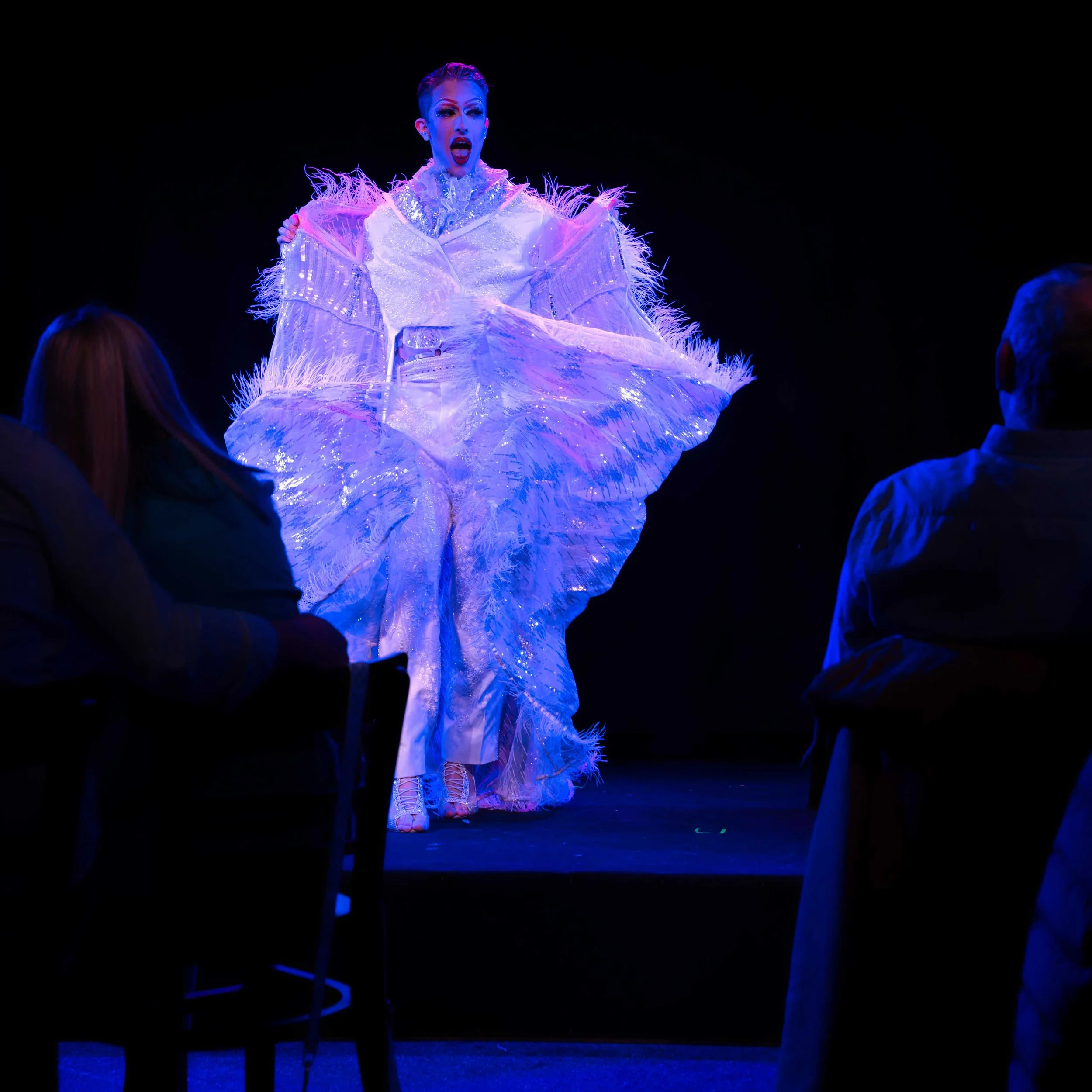 Eine Dragqueen auf einer Bühne, trägt ein aufwendig gestaltetes, glänzendes Kleid mit Feder- und Glitzerelementen, während sie vor Publikum performt.