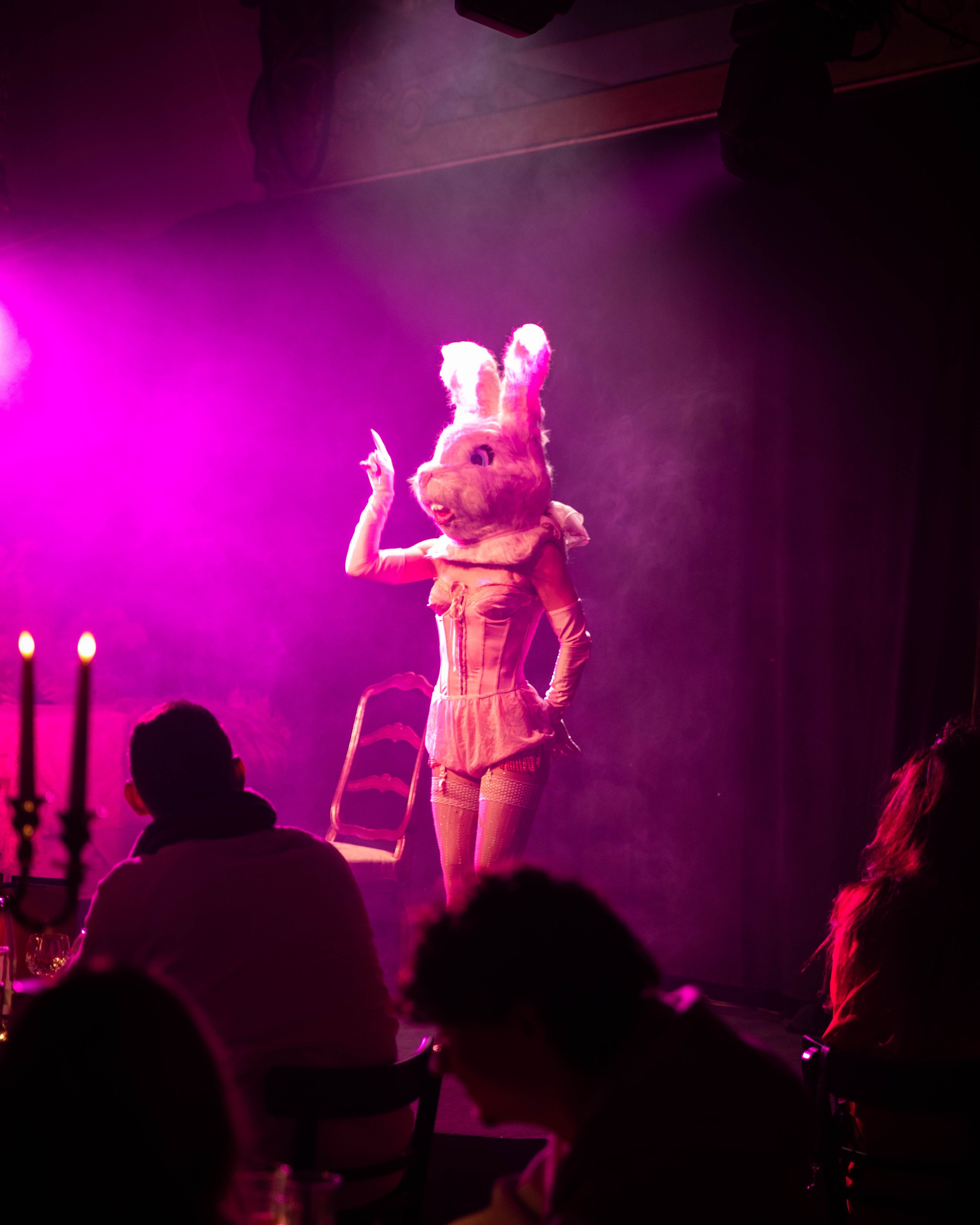 Ein Mensch in einem Hasenkostüm bei einer Bühnenperformance, beleuchtet mit pinkem Licht, mit einem Publikum im Vordergrund.