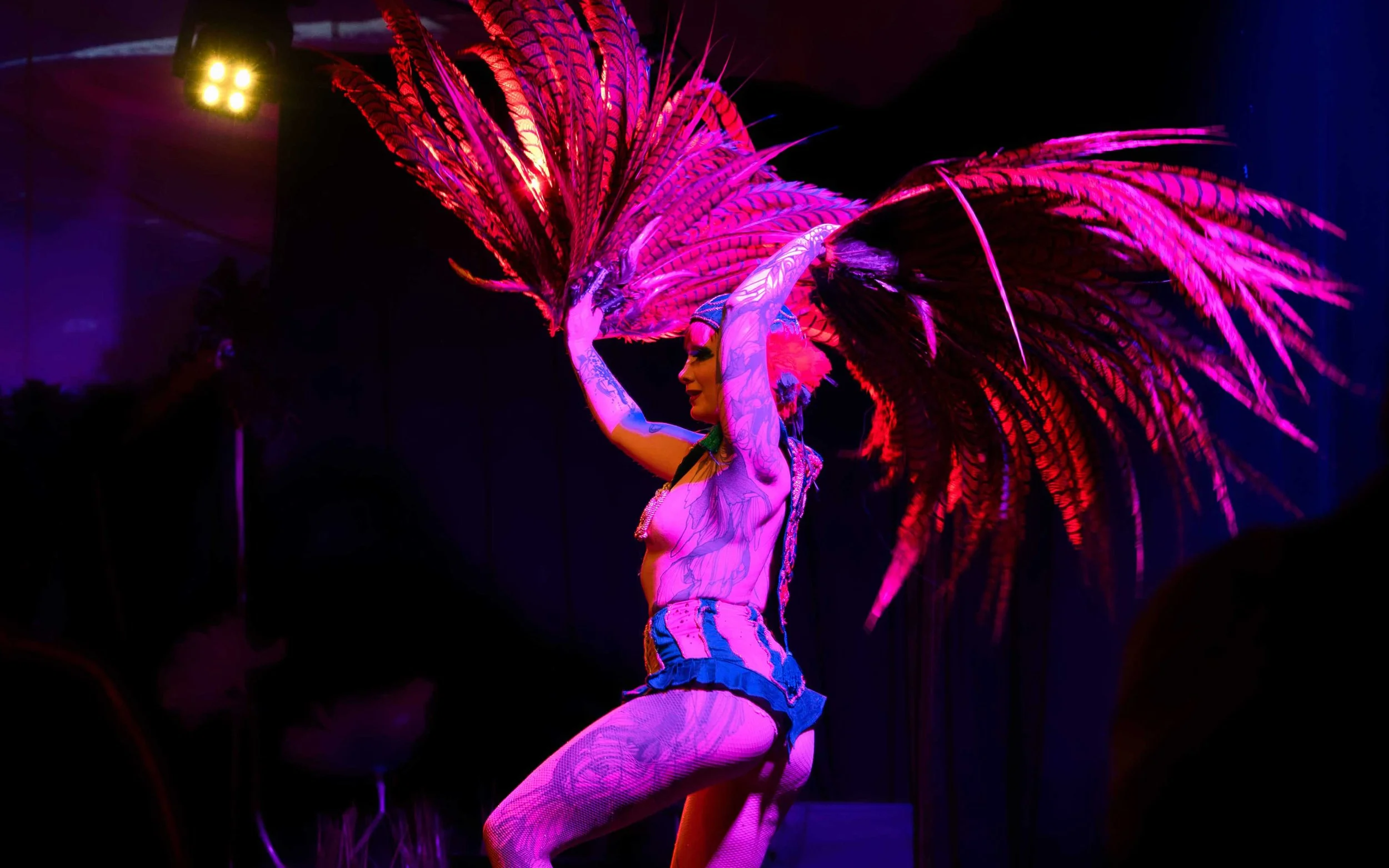 Tanz Performance Cabaret Foodstories Dinner Show St. Gallen