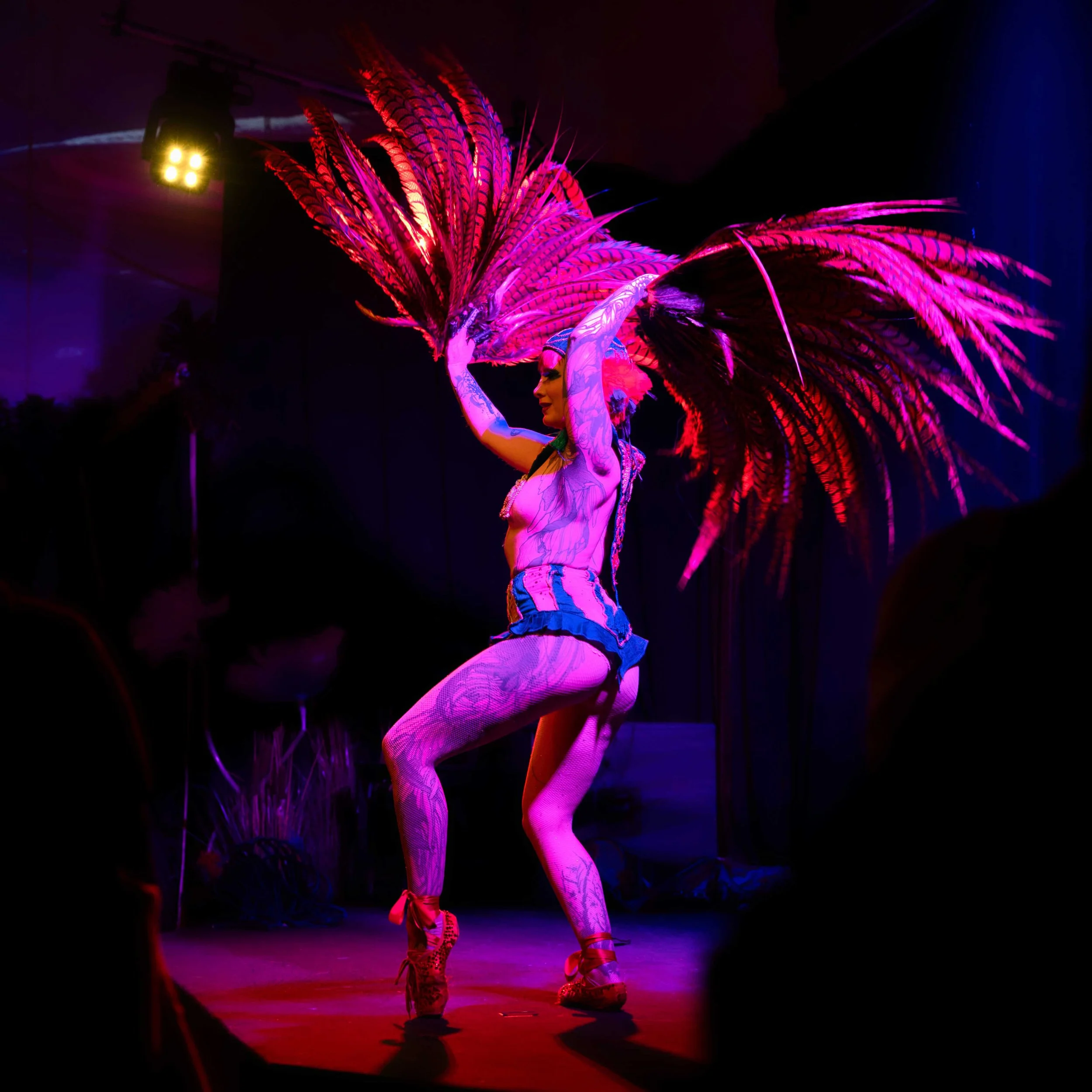 Performer auf Bühne mit großen pinken Federschmuck, dunklem Hintergrund, bunter Beleuchtung.