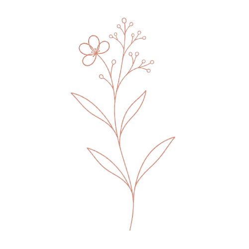 En enkel, rosa linjär teckning av en blomma med ett blommor och blad på en svart bakgrund.