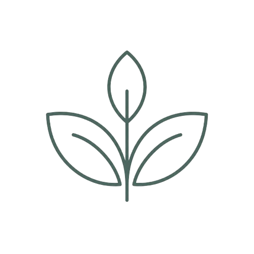 En minimalistisk linjeillustration av ett växande blomsterblad.