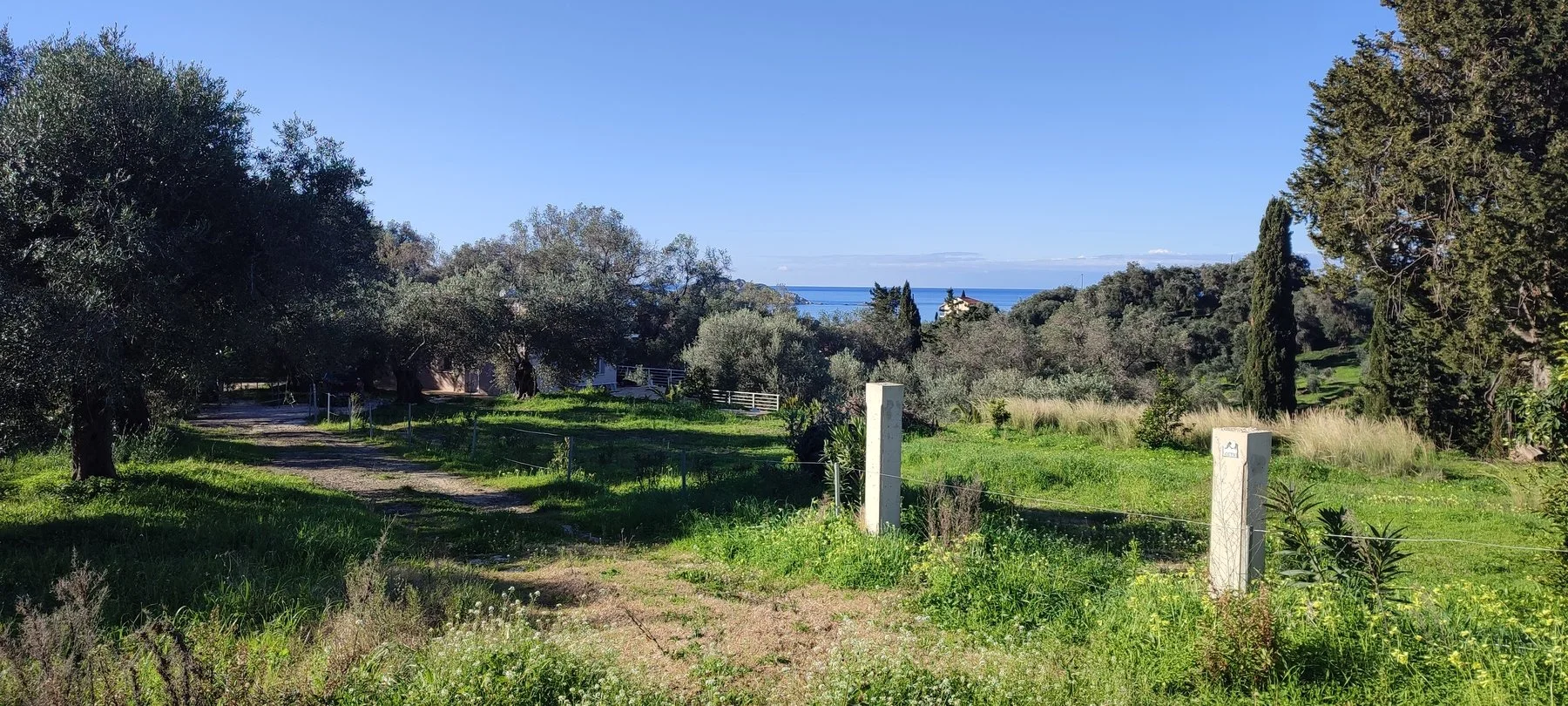 Arillas plot village.jpg