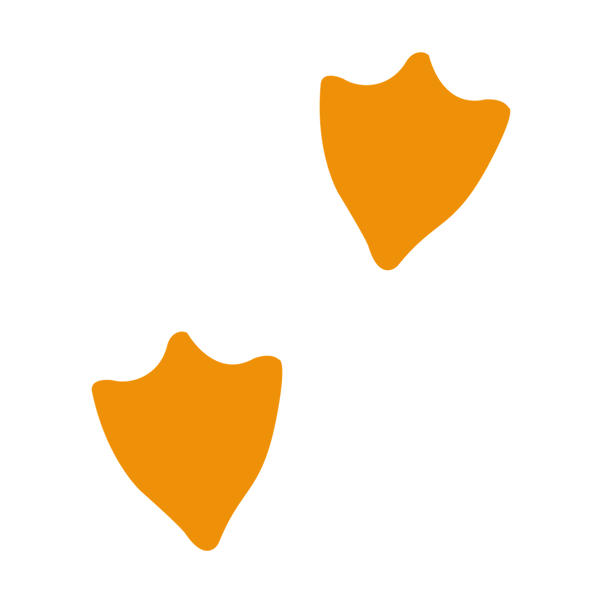 Duck Prints