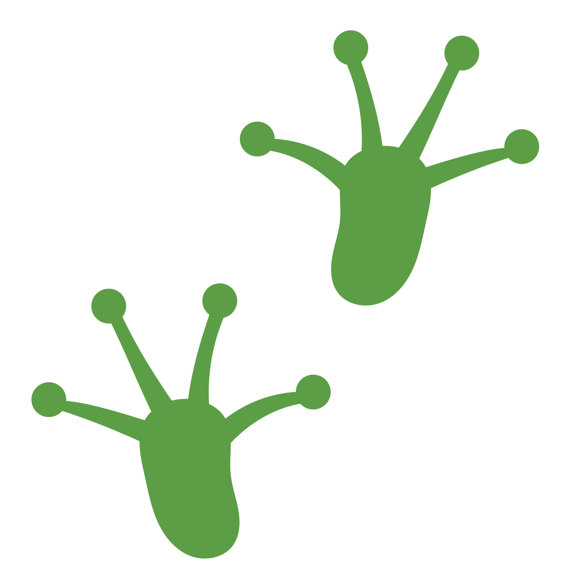 Frog Prints