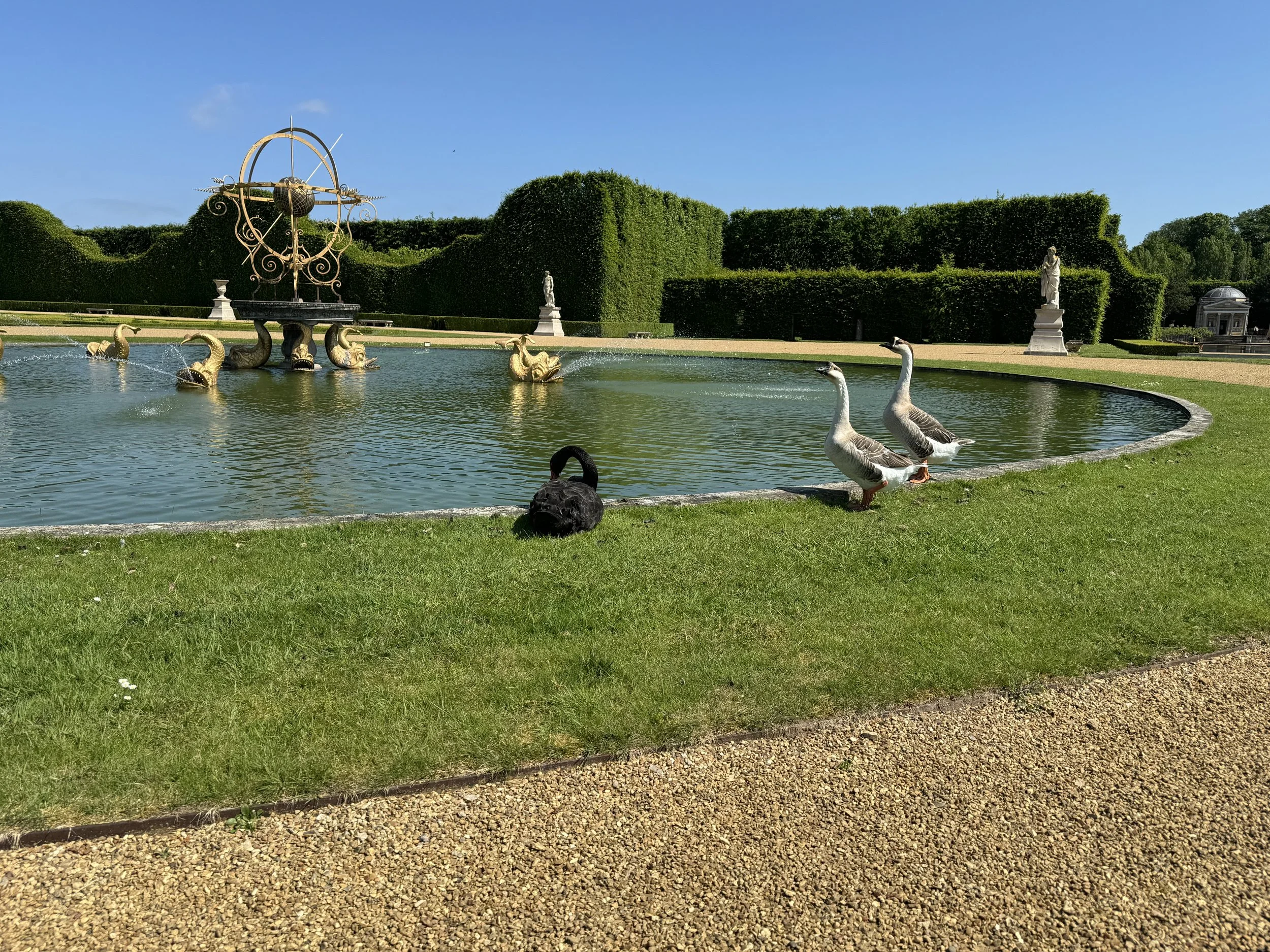 Un jardin avec une fontaine ornée de têtes de dragon, entourée de statues classiques, des buissons taillés en forme de murs verts, et deux cygnes sur l'eau, sous un ciel bleu clair.