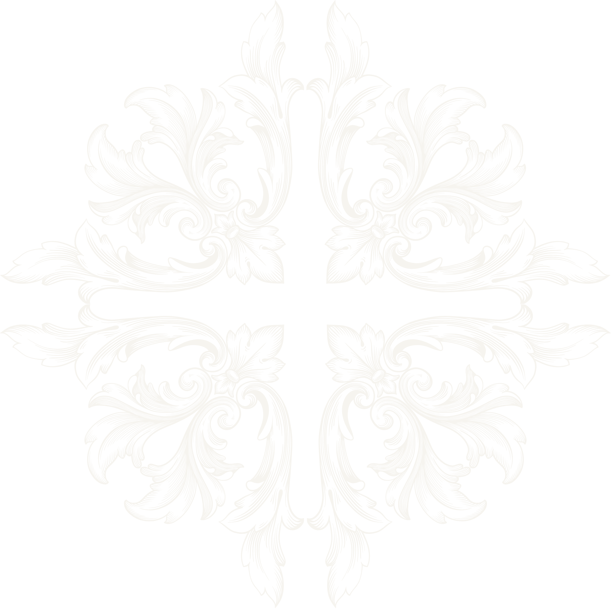 Motif floral orné blanc sur fond noir.