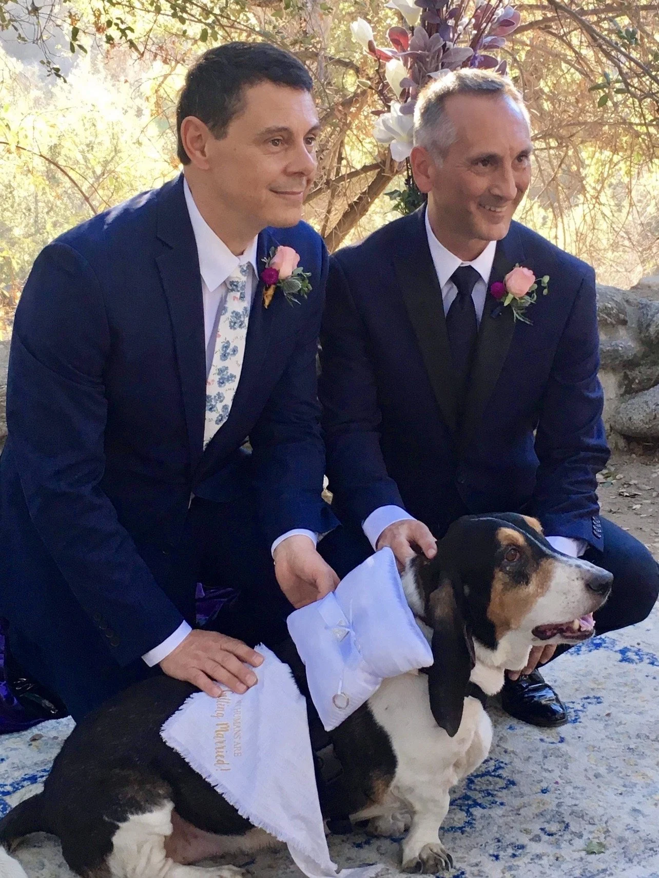 Ring bearer dog