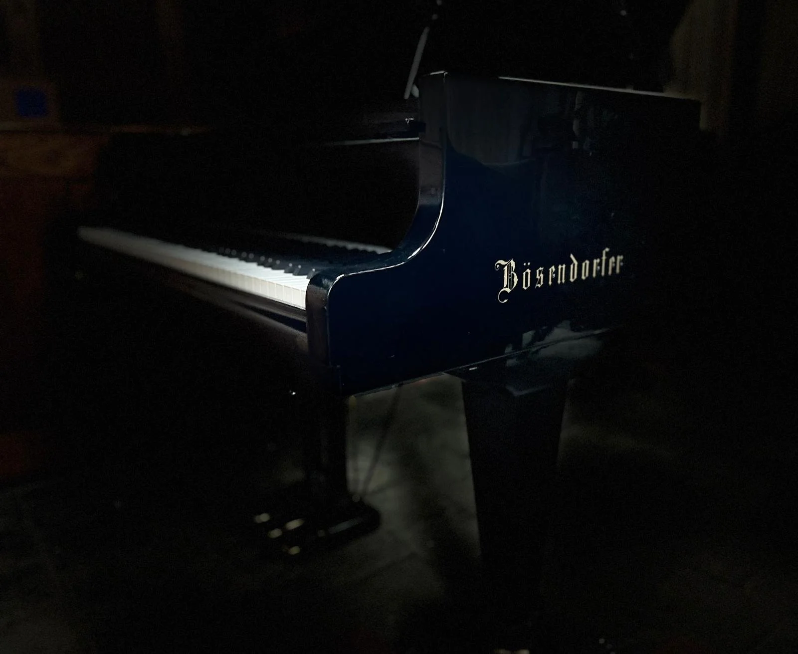 Een zwarte Bösendorfer vleugelpiano in een donkere kamer | Highstreet Heerewaarden