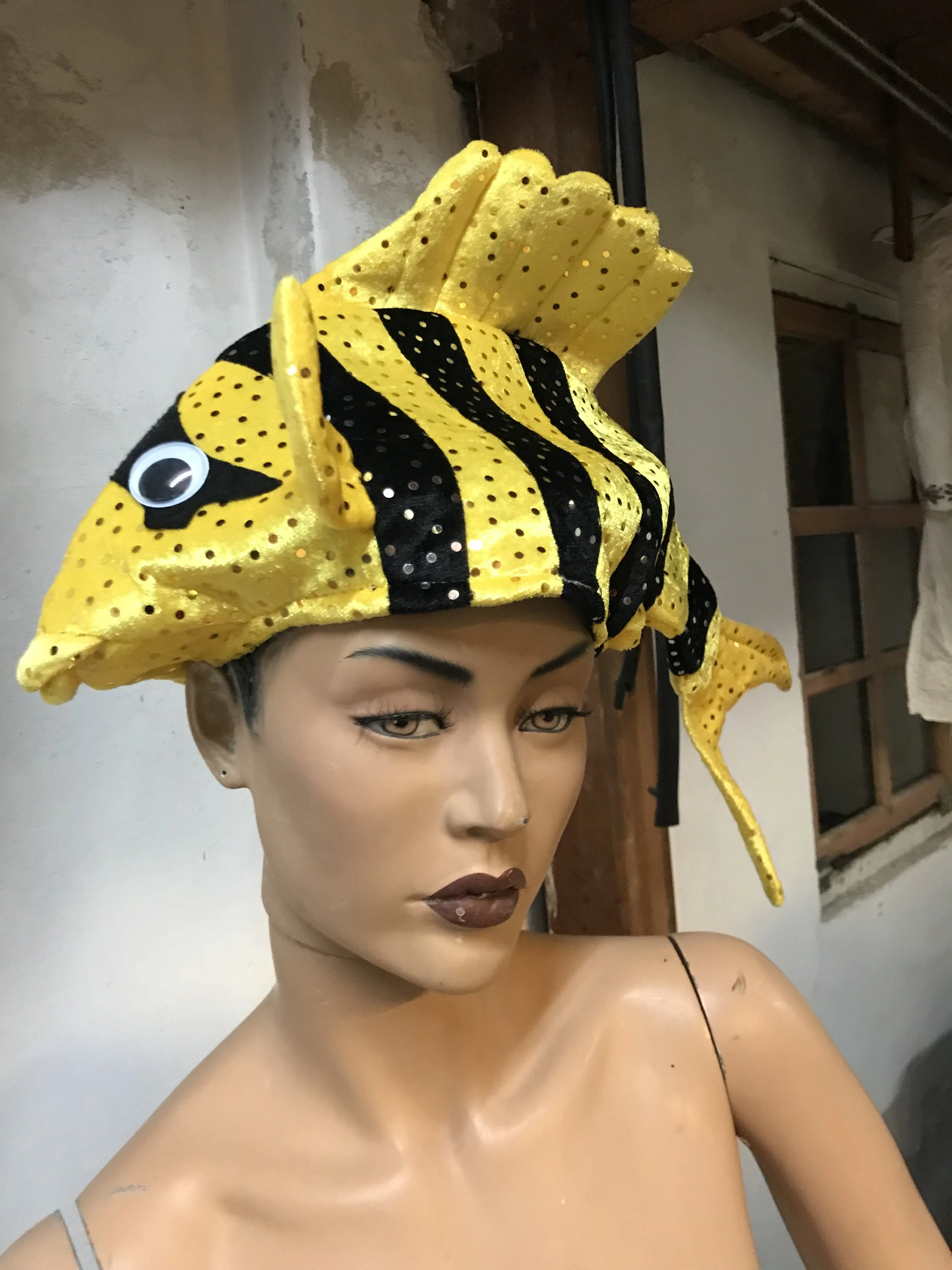 hoofddeksel vis.jpeg