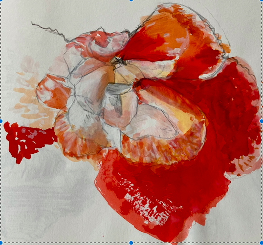 Schermafbeelding 2026-02-22 om 12.00.34.png