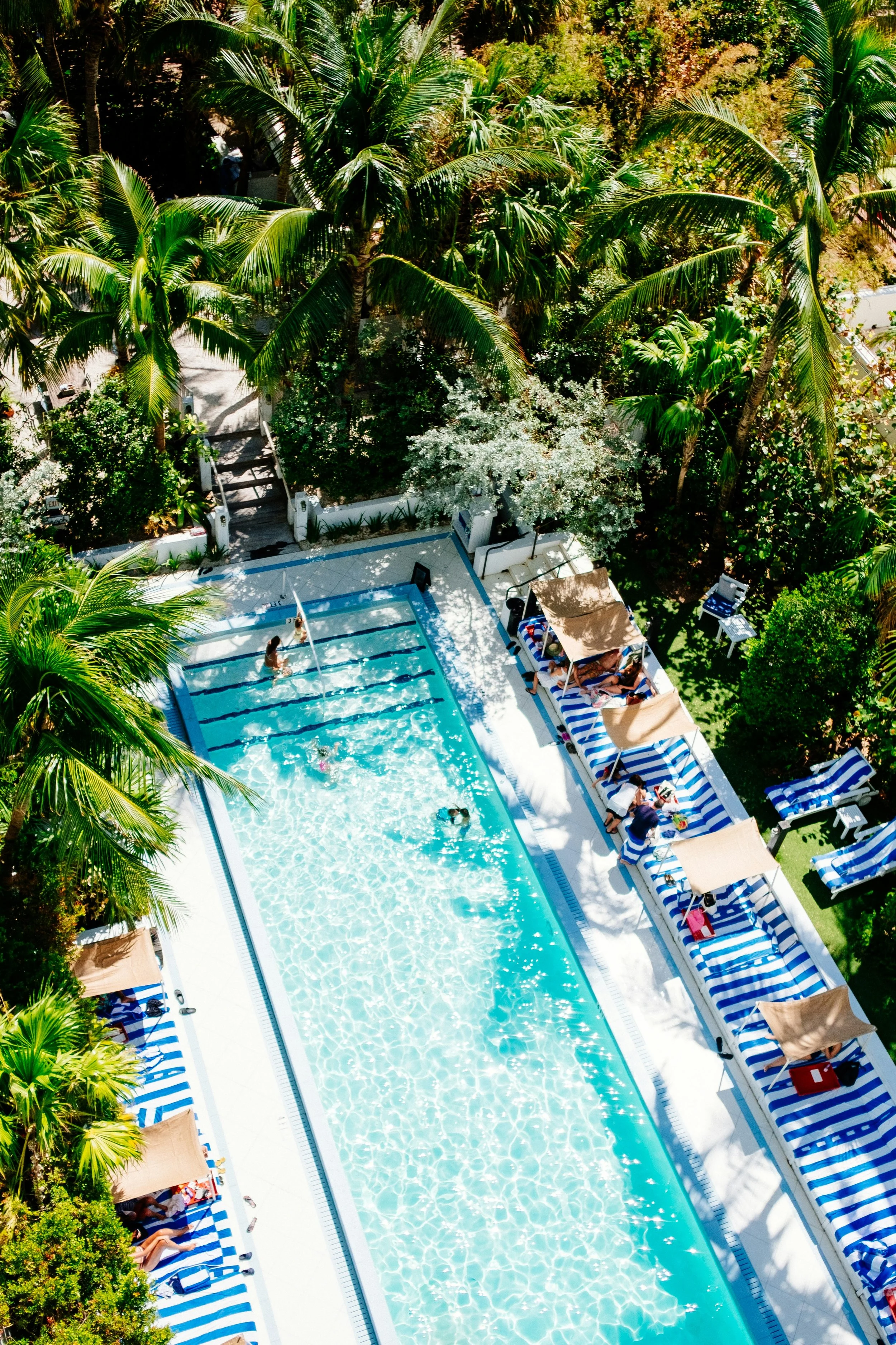 Aerial view of a swimming pool with people swimming and lounging on striped blue and white sunbeds, surrounded by lush palm trees and greenery.