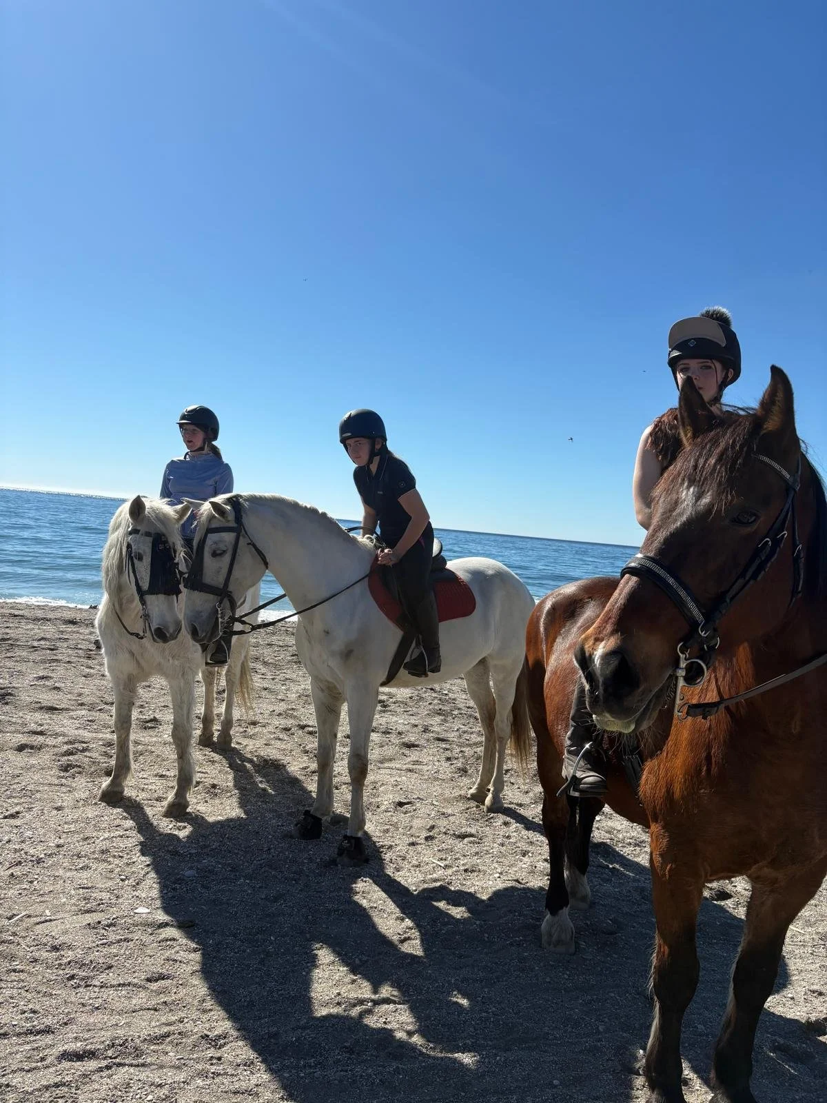 October Riding Holidays