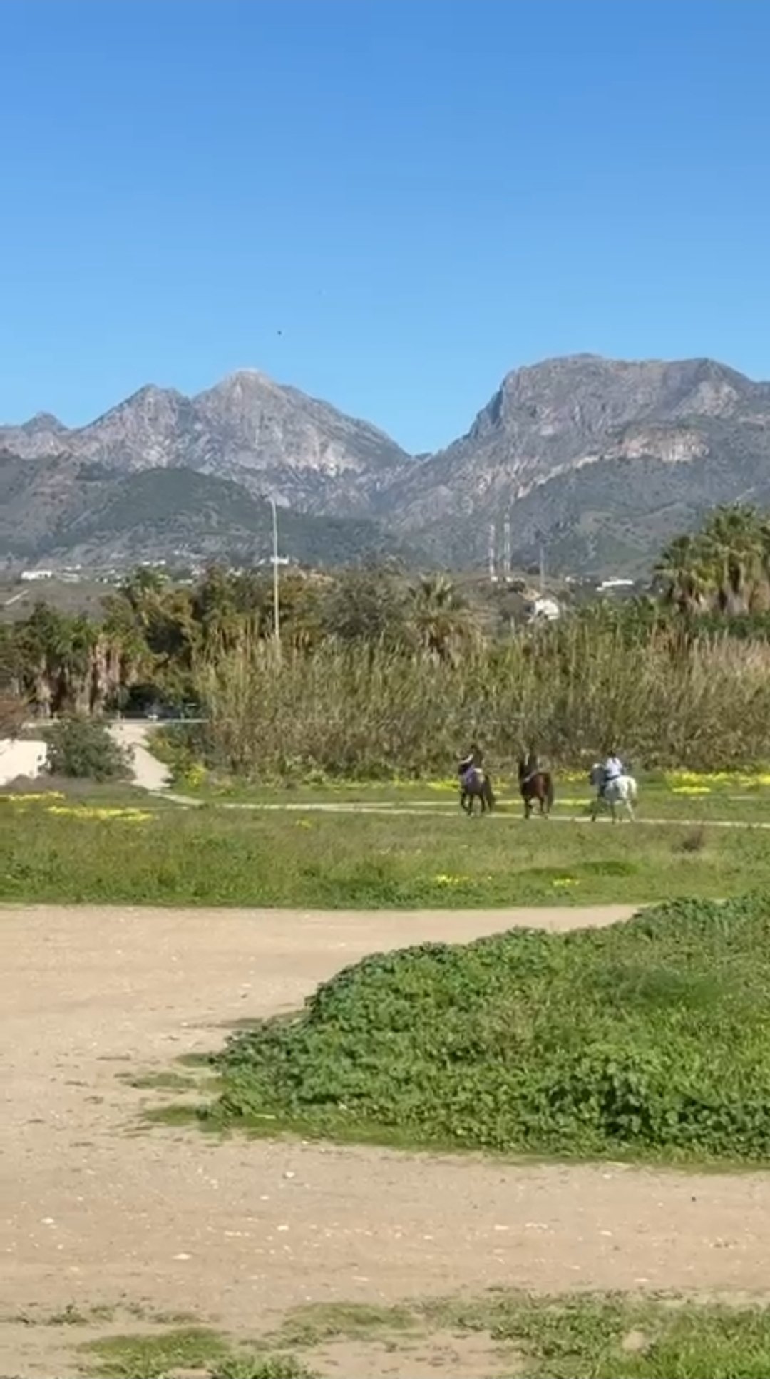 August Riding Holidays