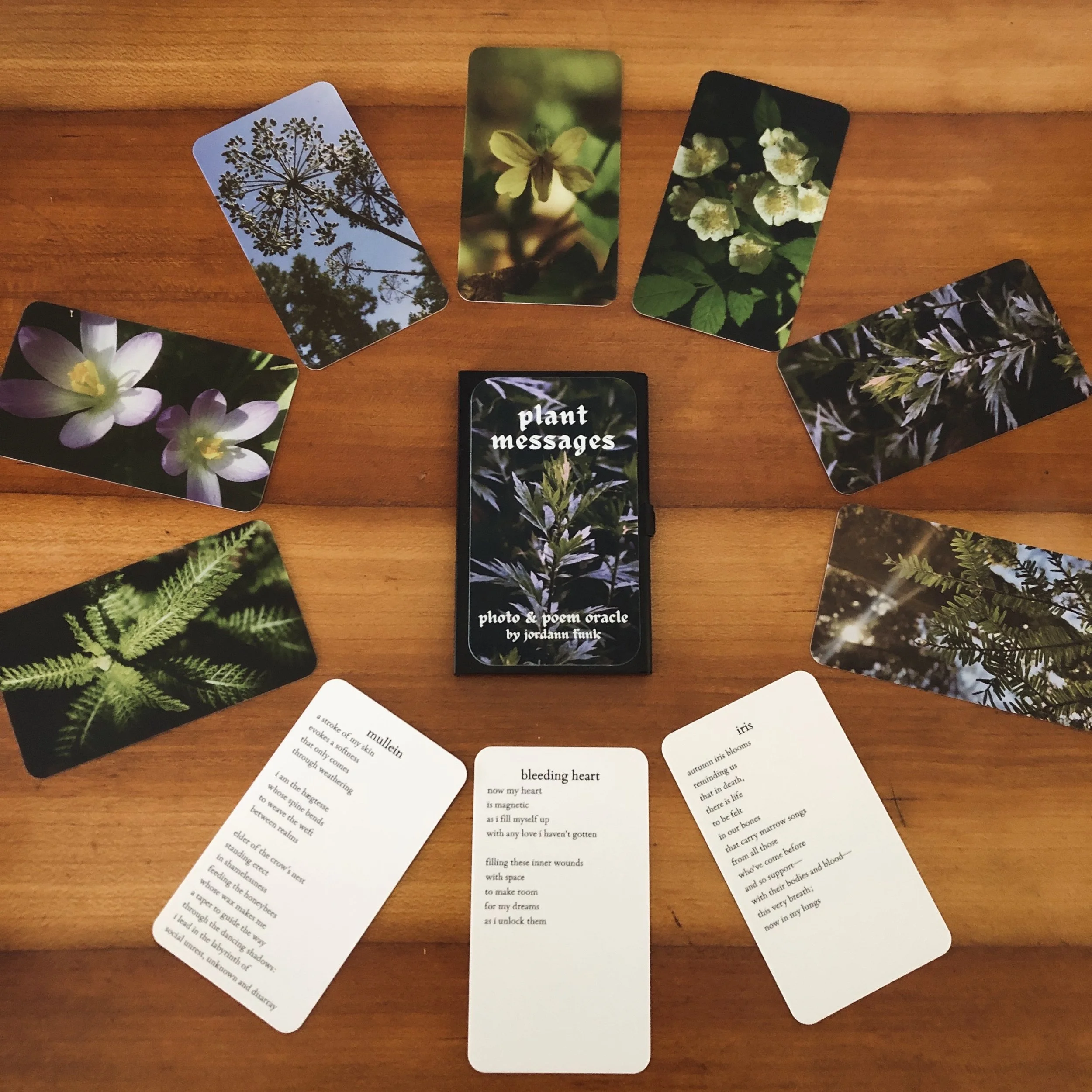 the incalculable cauldron