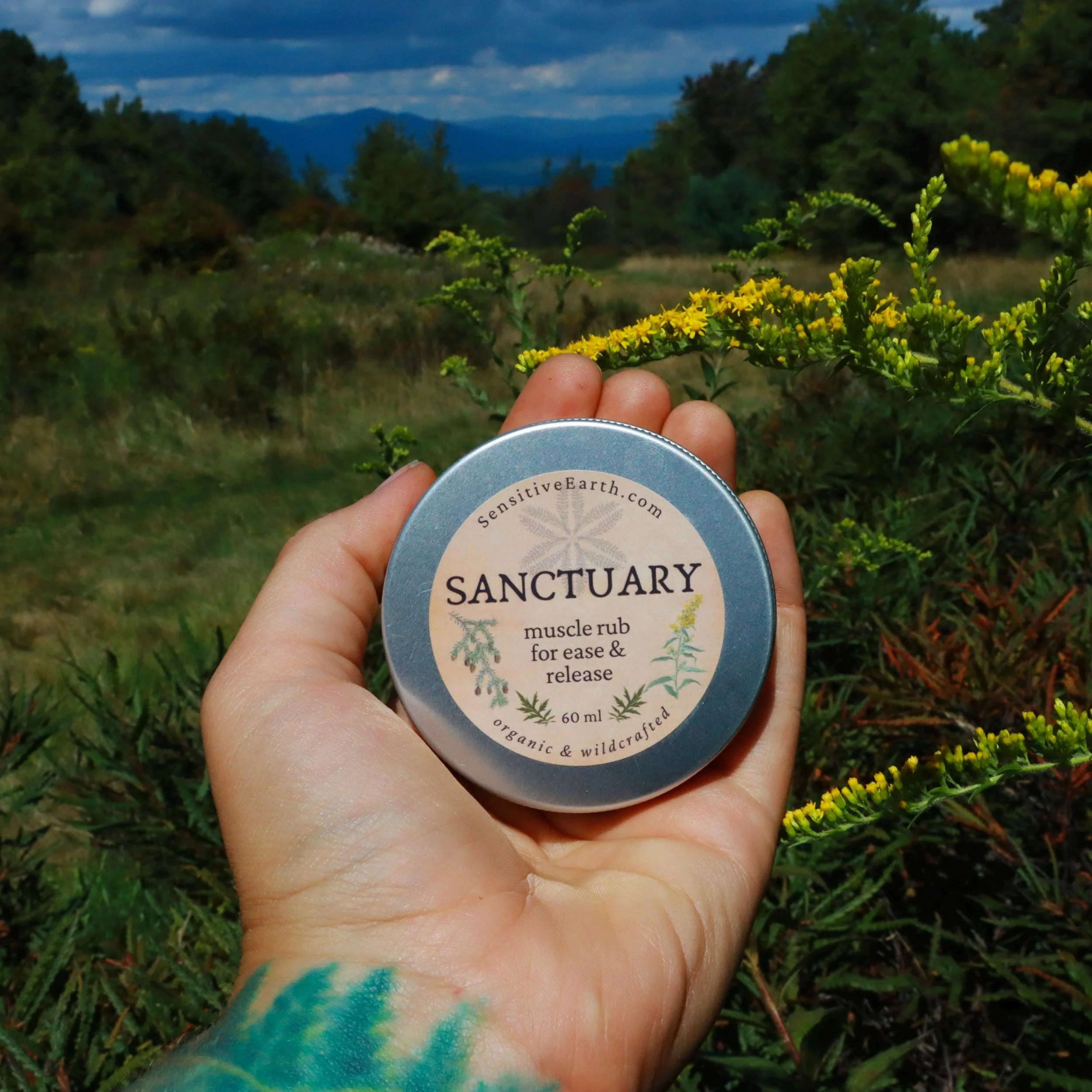 Sanctuary Muscle Rub — For Somatic Ease & Release
