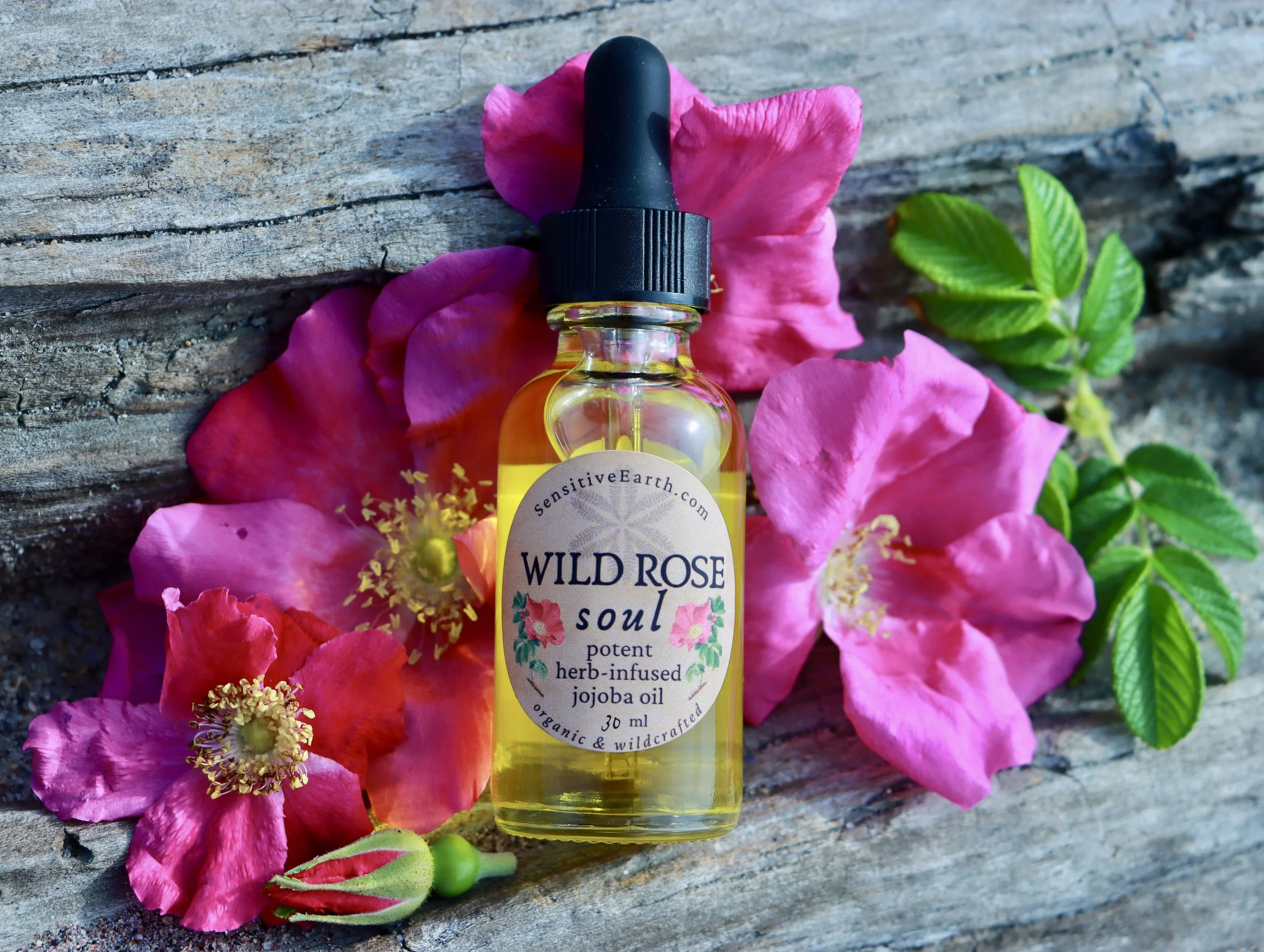 Wild Rose Soul Oil:  Potent Herb Infused Jojoba Serum