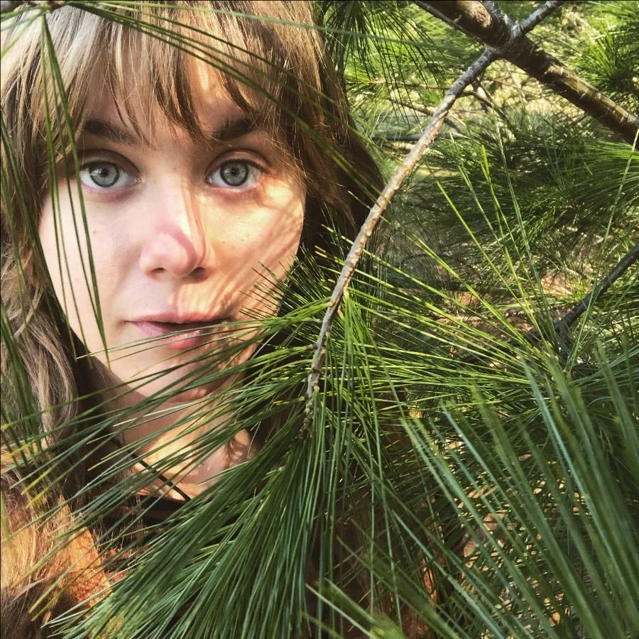 White Pine: The Generous One