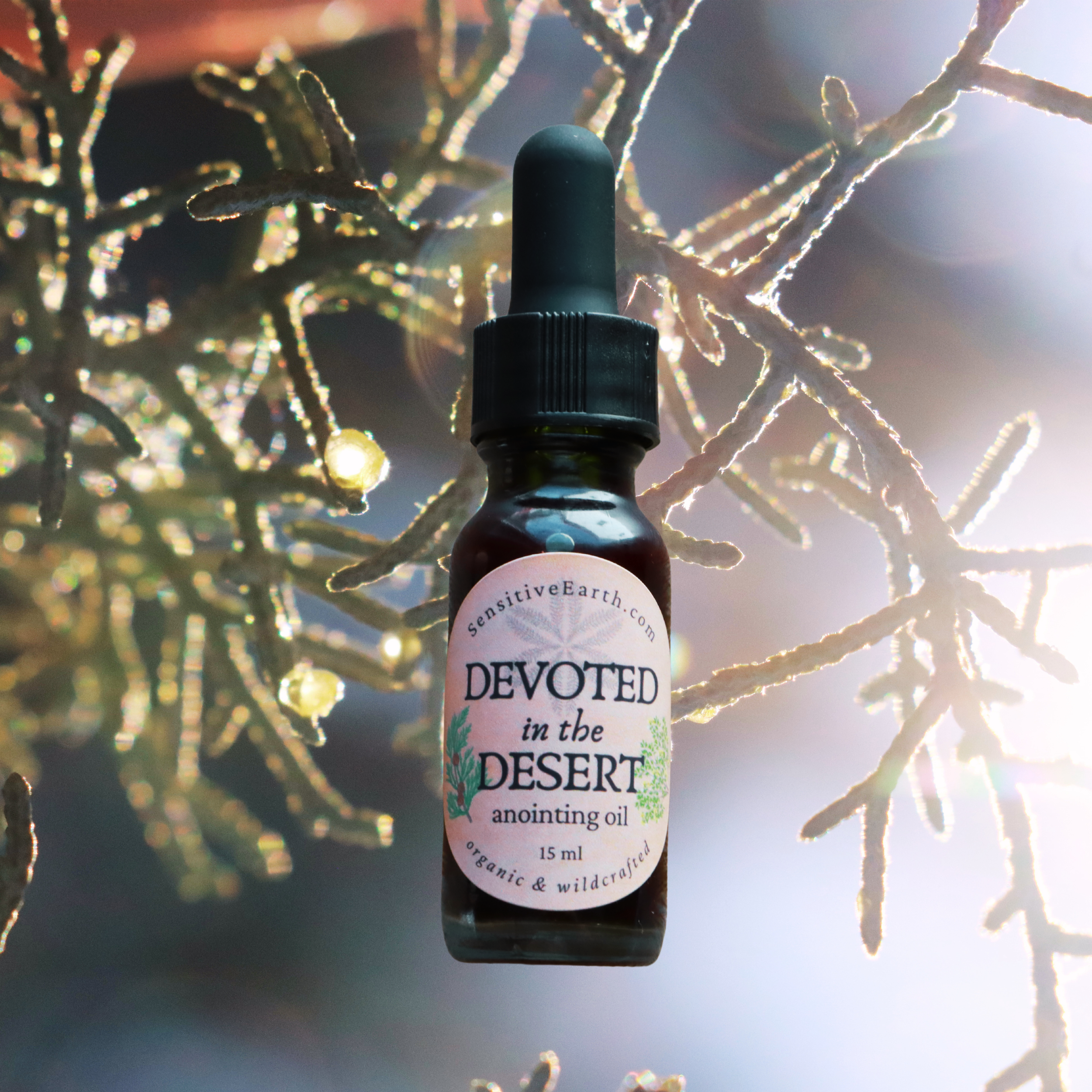 20 mb devoted oil listing photo.png