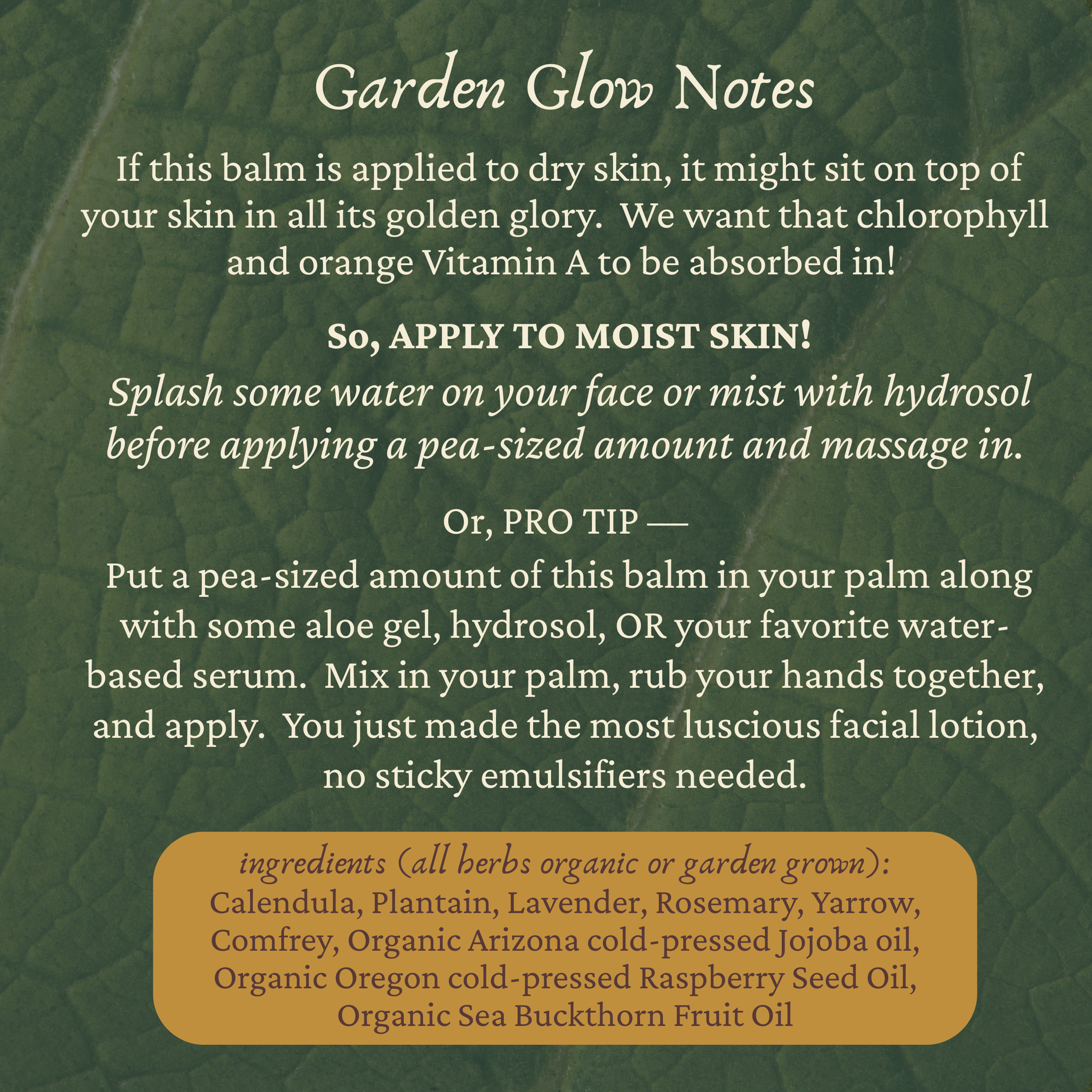 garden glow notes.png