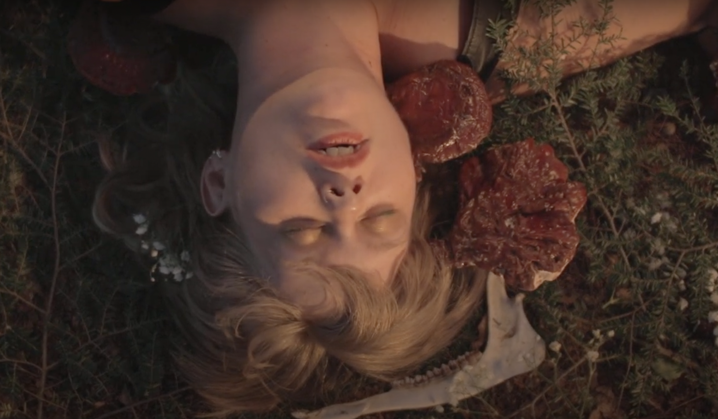 ecdysis / birth: ‘tsuga’