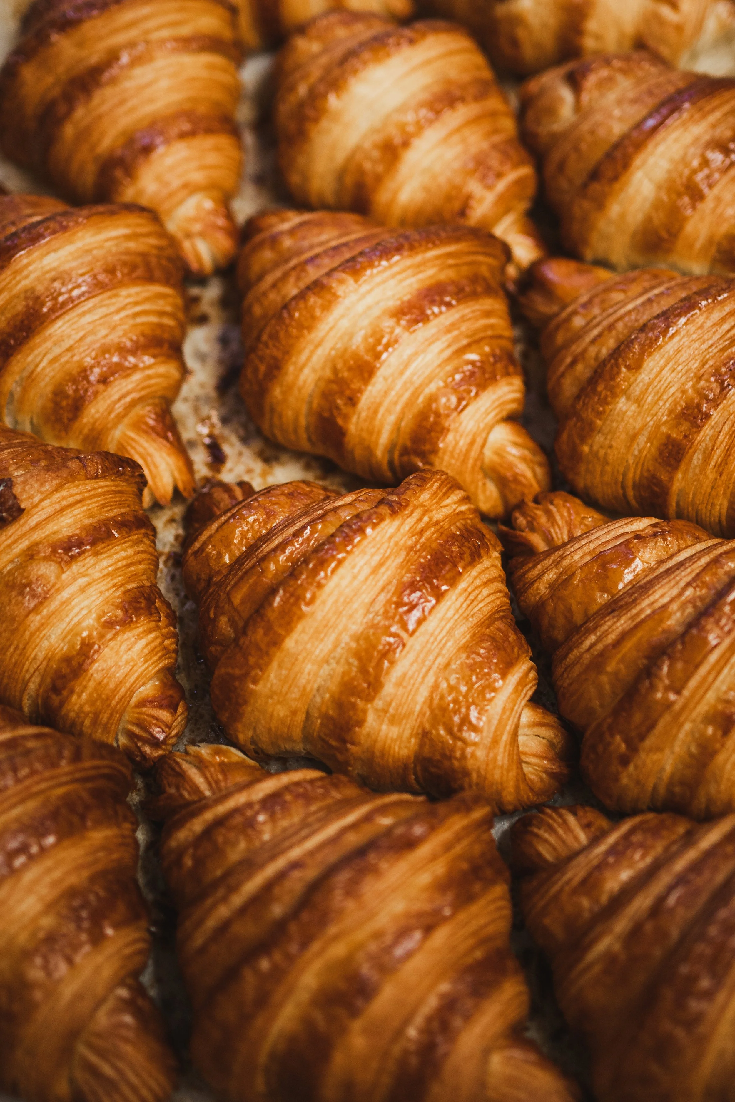 Golden-brown baked croissants arranged close together.