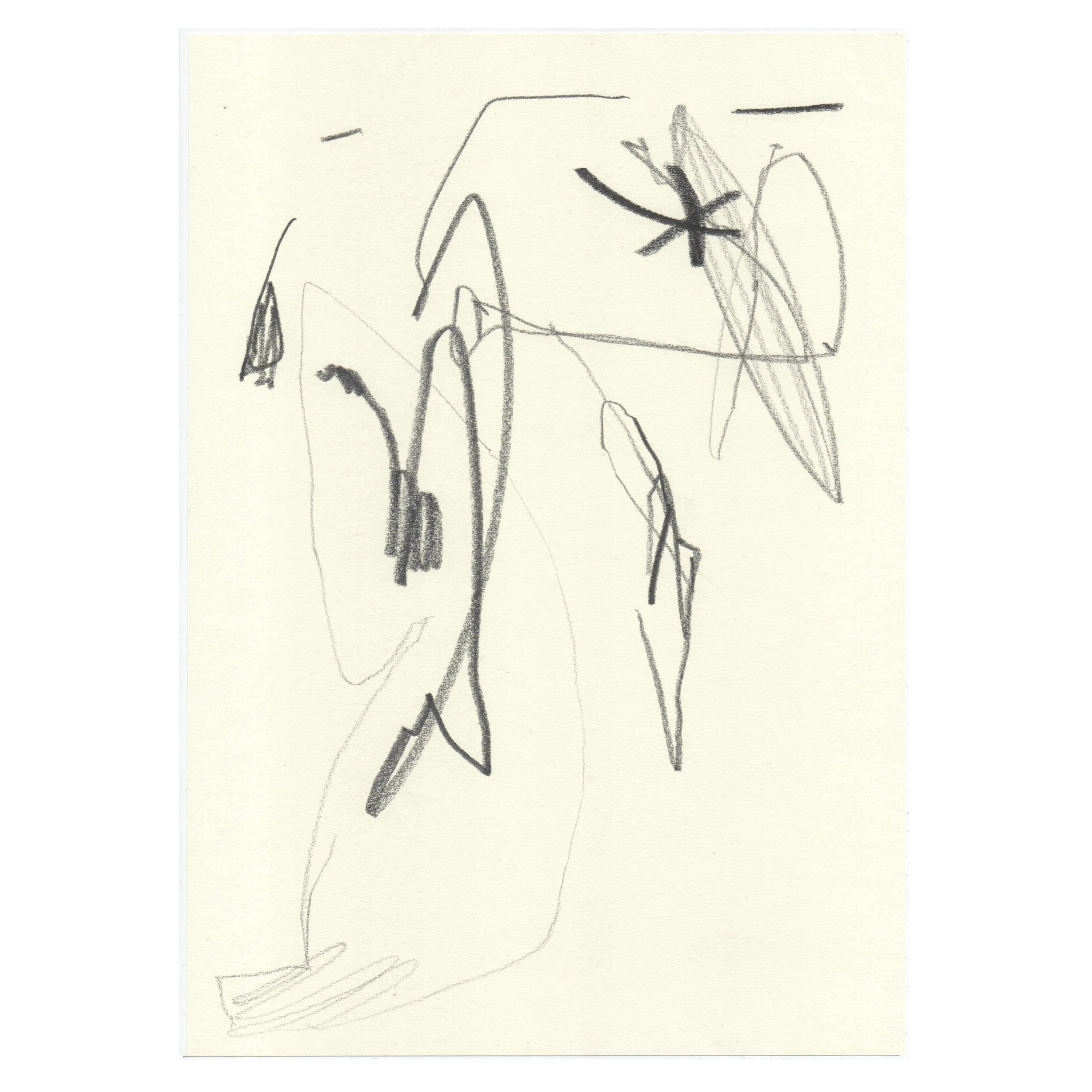 BirdwatchingN1CR 02-2456.001.jpeg