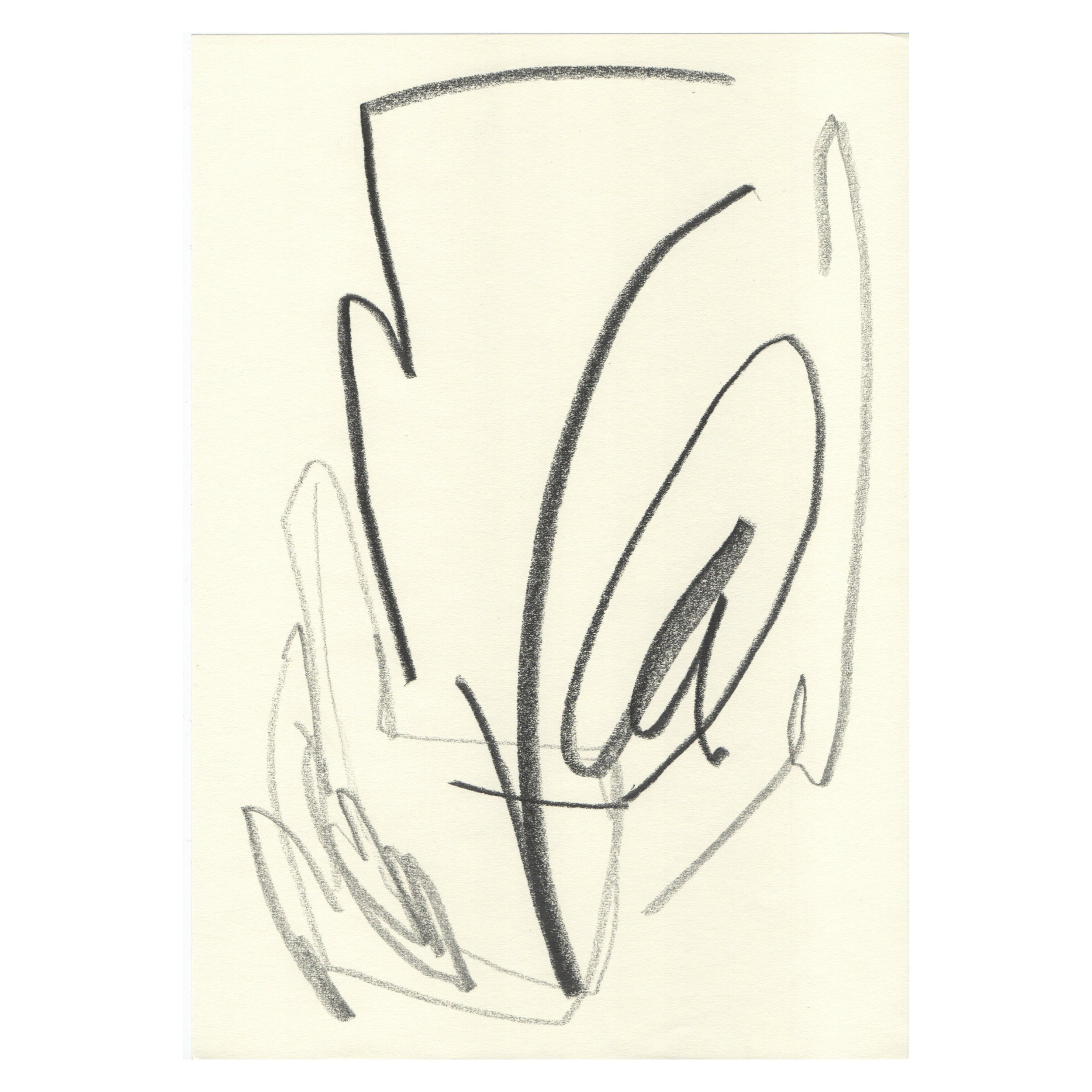 WDFFLN3© 2026 Aura Delamotte Barrera, All rights reserved.WHITE.010.jpeg