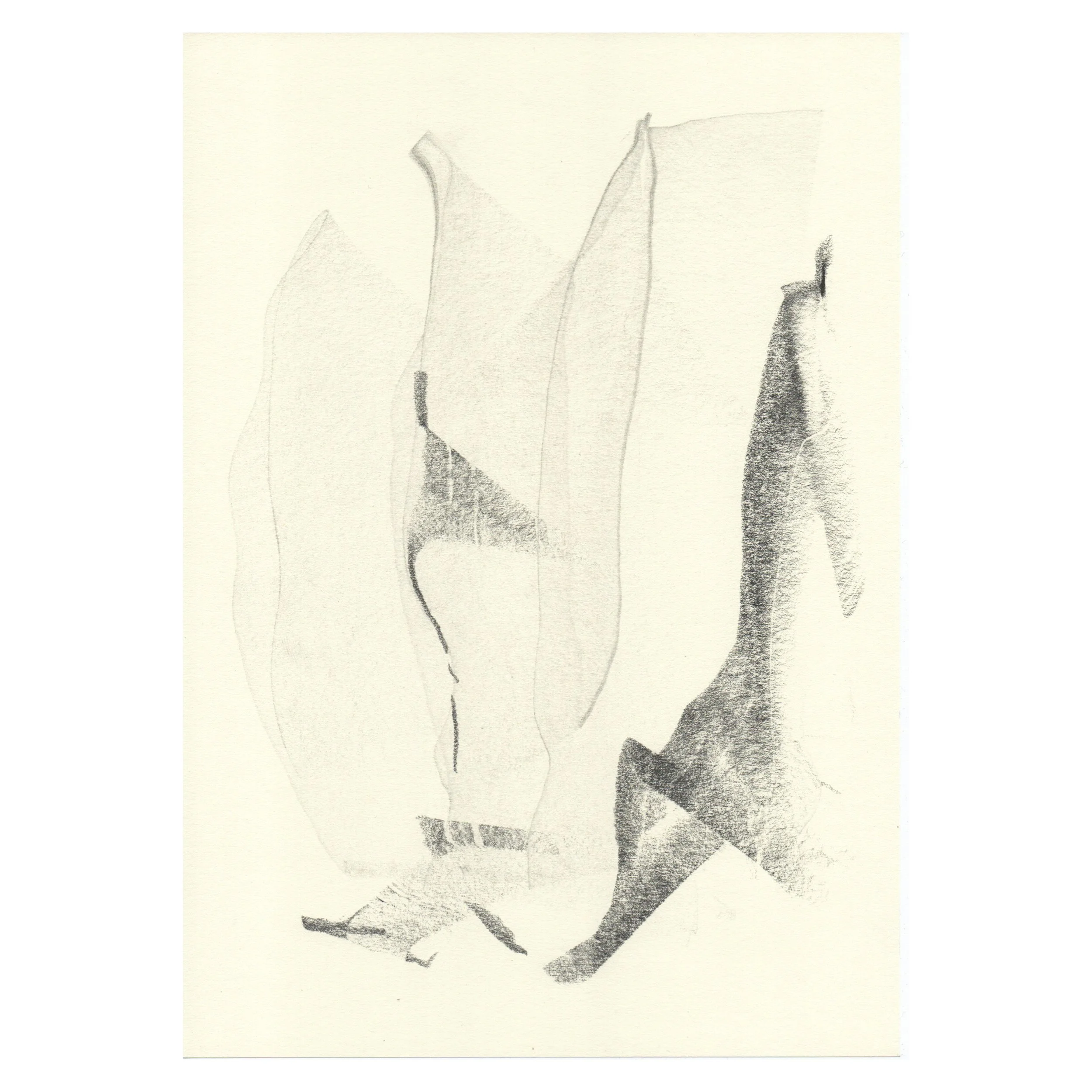 DANCERN2© 2026 Aura Delamotte Barrera, All rights reserved..jpeg