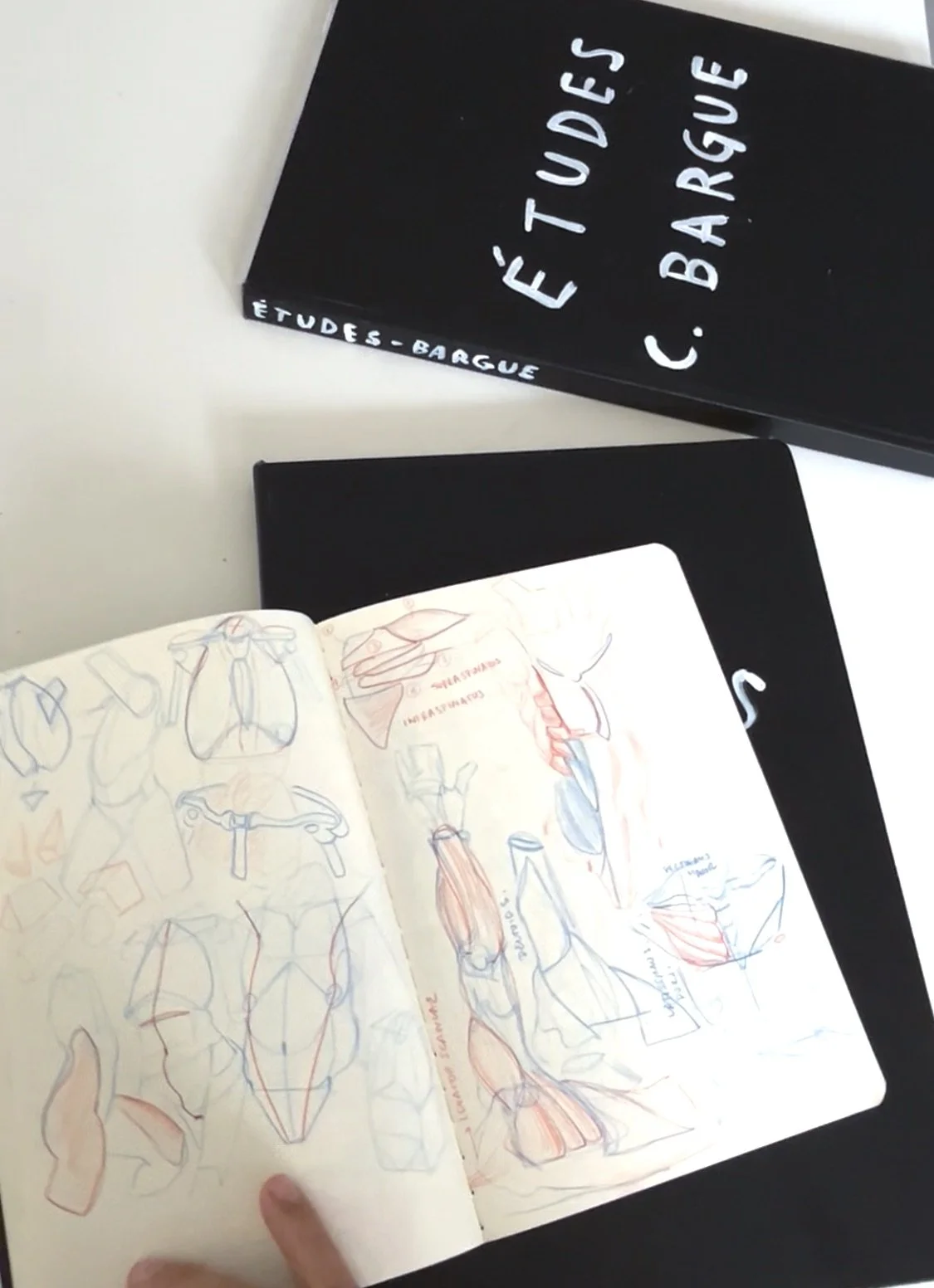 Open sketchbook with anatomical drawings of muscles and body parts in red and blue pencil sketches. Two closed black notebooks, one of which is titled 'Études - Bargue' and has the author's name 'C. Bargue,' resting on a white surface. Artwork by © 2