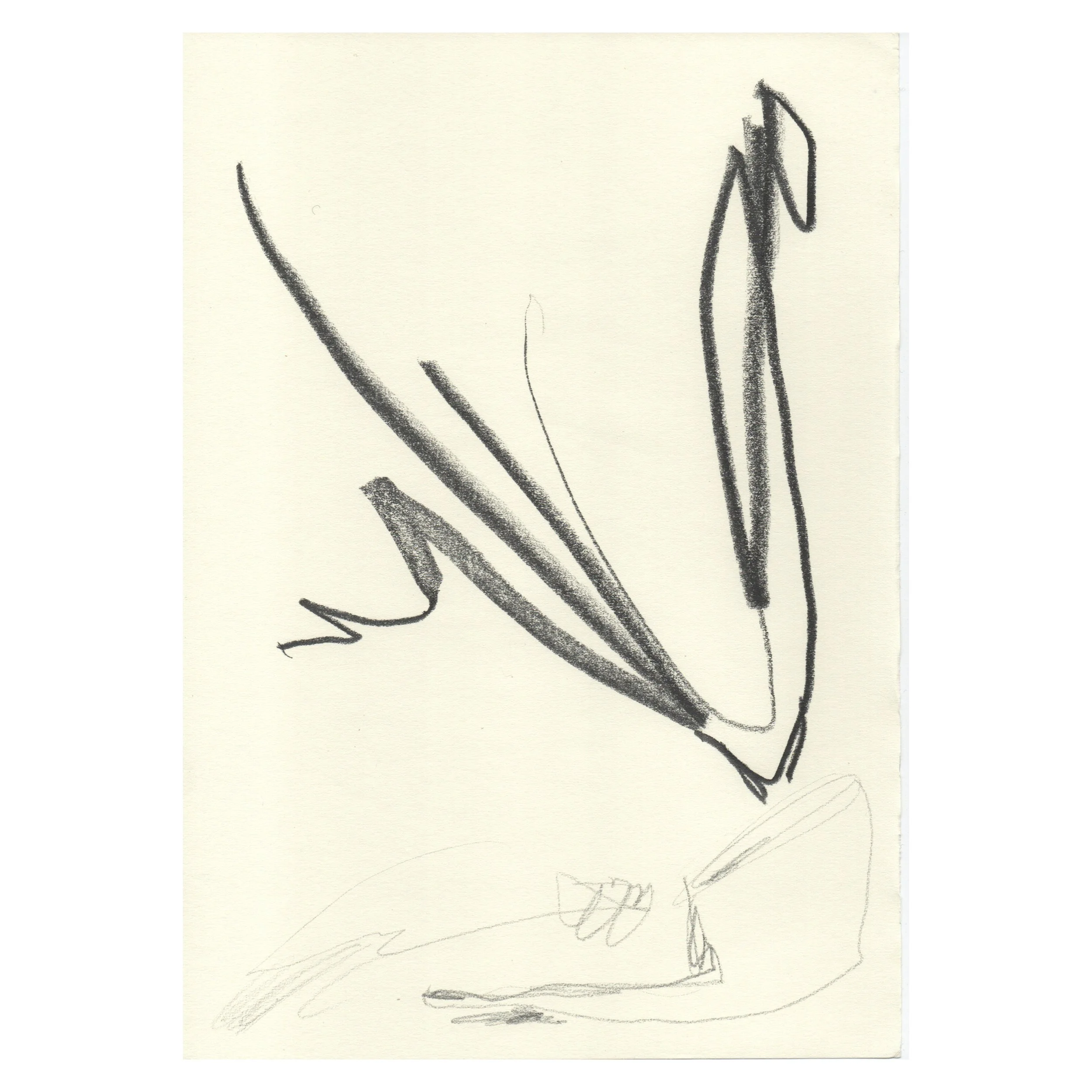 What Does Forgiveness Feel Like N°6