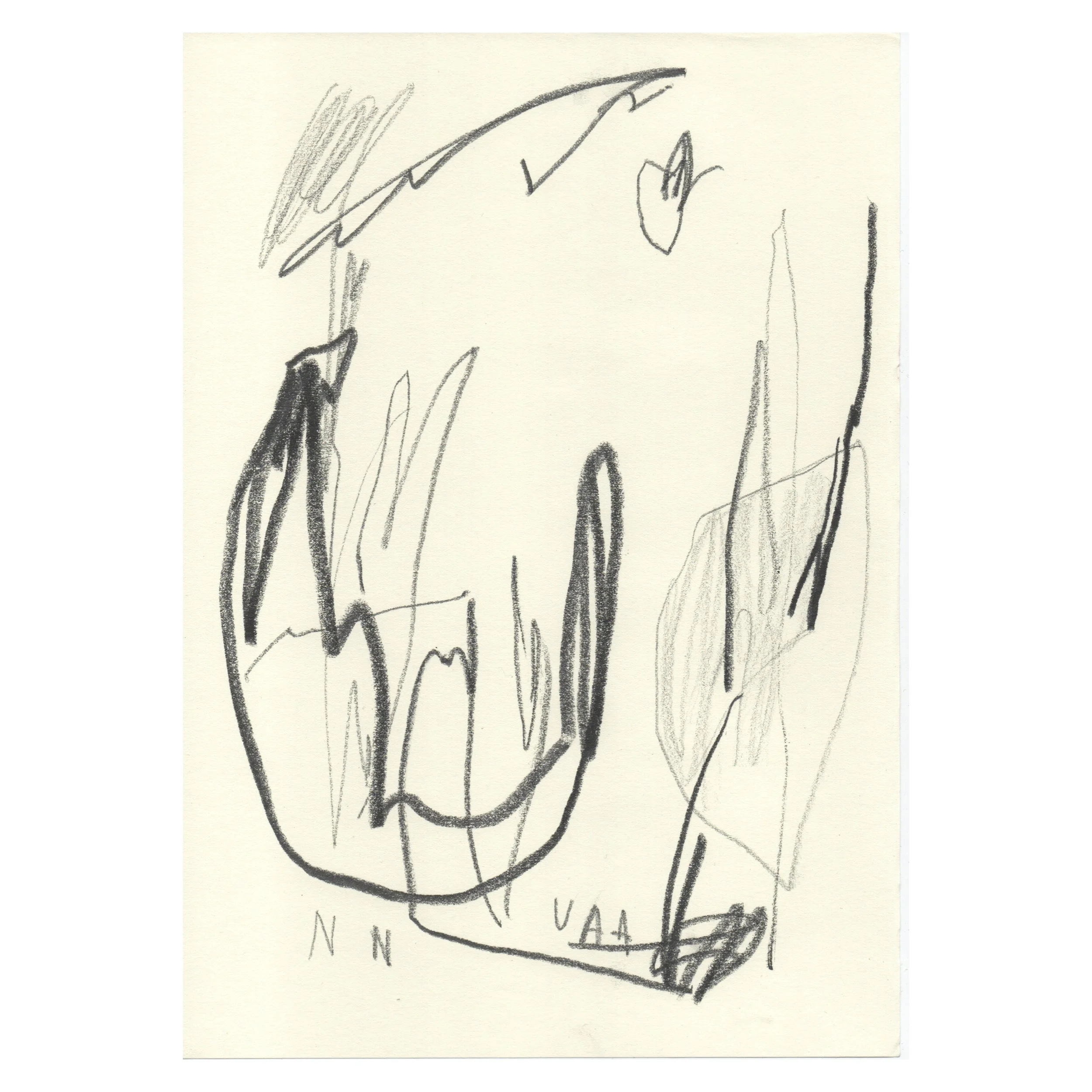 WDFFLN5© 2026 Aura Delamotte Barrera, All rights reserved.WHITE.008.jpeg