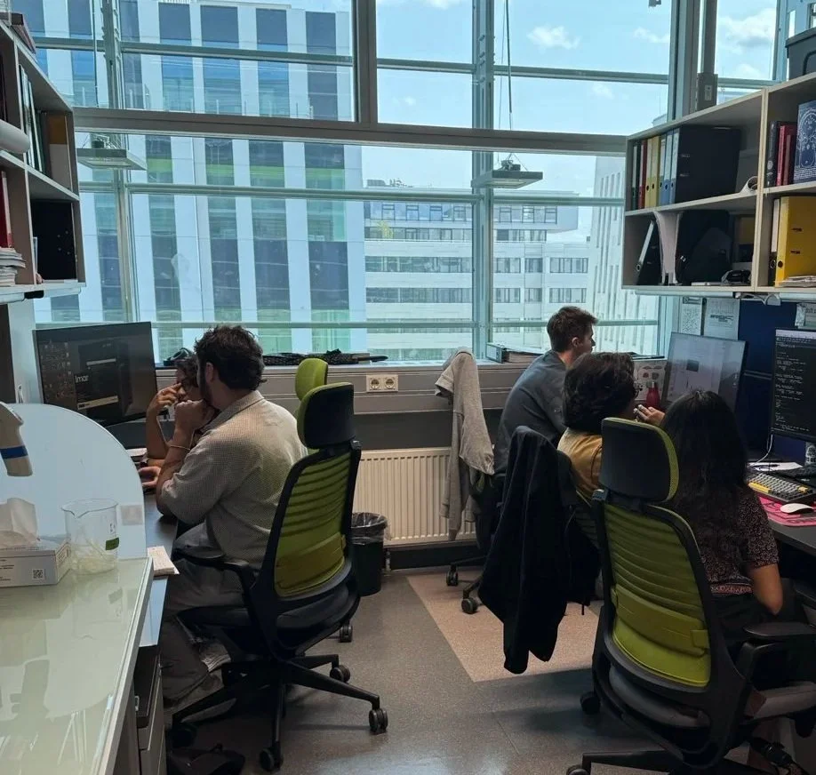 Working on the Computer (©Urbán lab)