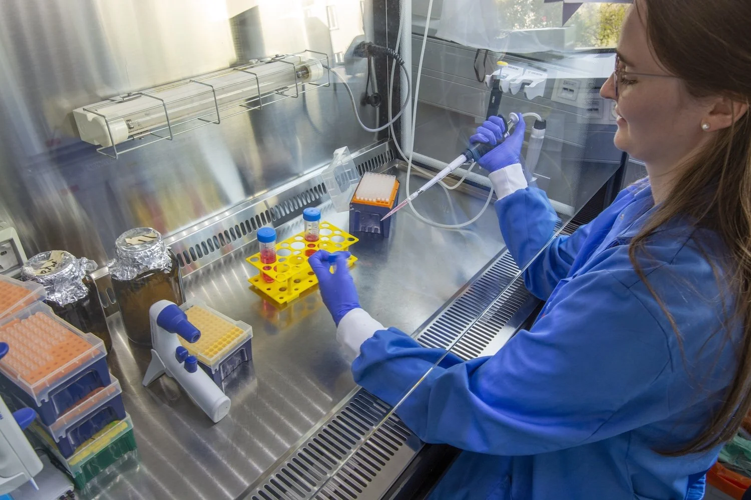 Pipetting in TC (©Urbán lab)