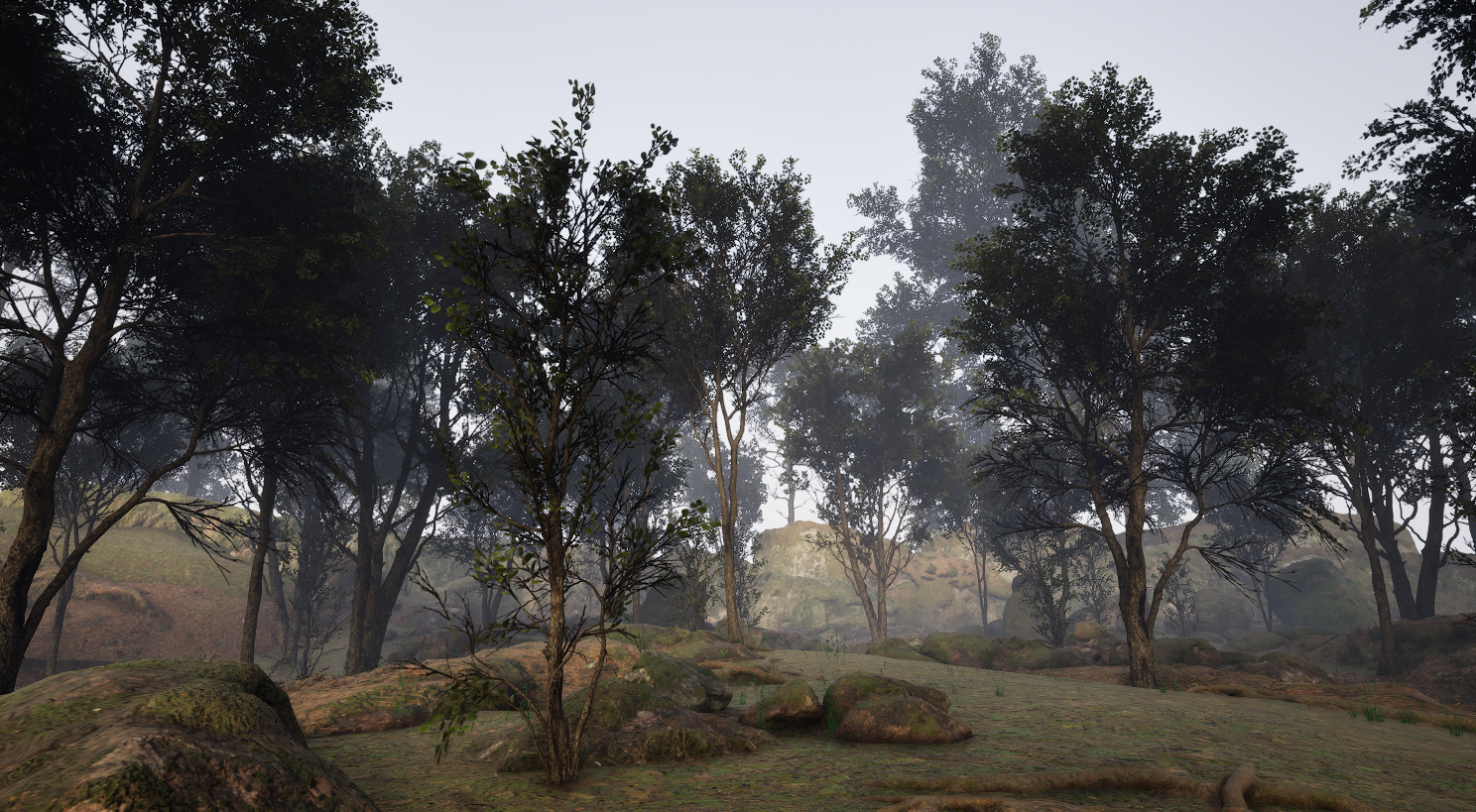 Interactive Tree Shader