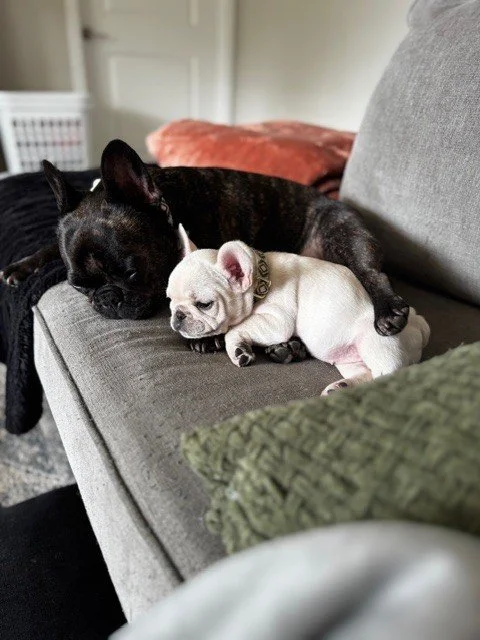 lottie and mills.jpg