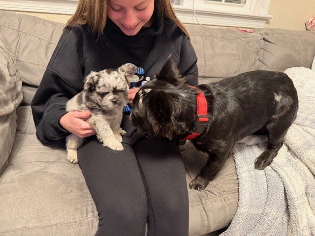 Tully meeting havoc.jpg