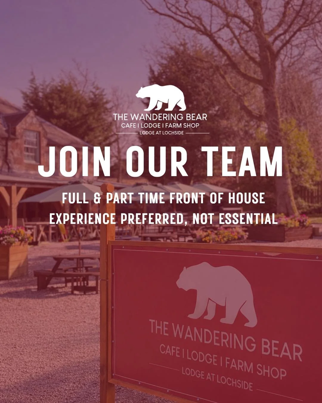 🐻 WE&rsquo;RE HIRING 🐻

Love coffee, great food, and good vibes? Come join us at The Wandering Bear!

We&rsquo;re looking for the final few people to complete our team, with both full and part-time front of house roles available. 

No experience? N