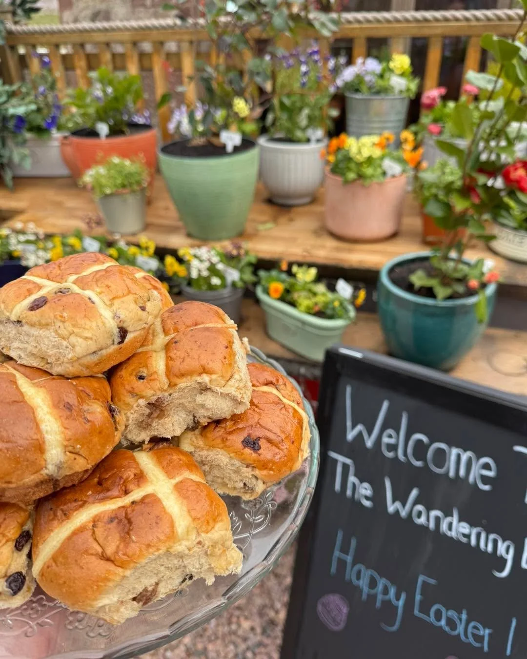 Easter Monday at The Wandering Bear 🐻🌼

Our two littlest members of the team have decided the Easter fun isn&rsquo;t over just yet&hellip; 👀

They&rsquo;ve been busy hiding coloured eggs around the garden and inside the caf&eacute; - if you find o
