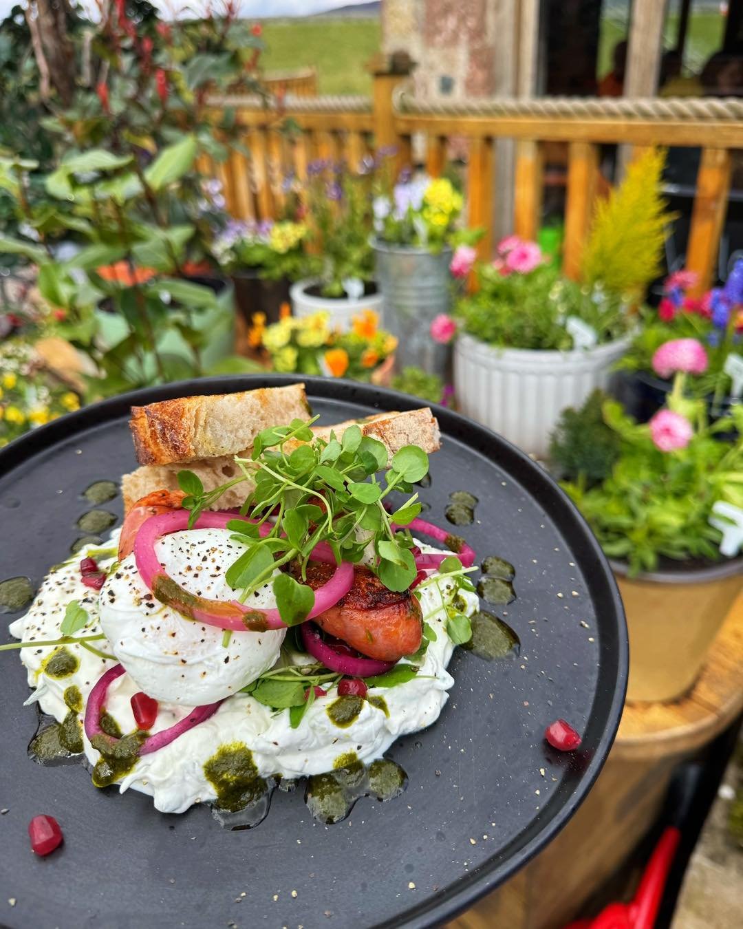 Ready for the weekend at The Wandering Bear 🐻

One of our absolute favourites - Turkish eggs - looking as delicious as ever!

We&rsquo;ve also got a fresh selection of sandwiches on the bar, perfect for takeaway or to enjoy in. Ideal for a quick pit